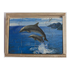 Wooden Jigsaw Puzzles in Box - Australian Sealife