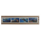Wooden Jigsaw Puzzles in Box - Australian Sealife