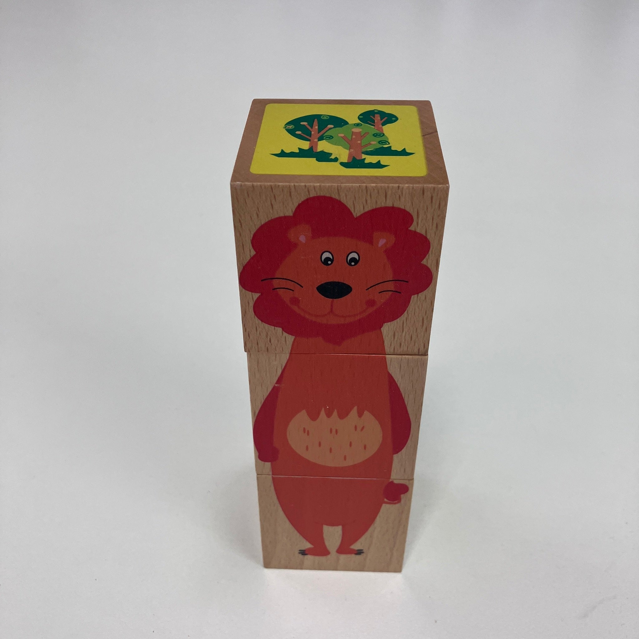 Wooden Cube Block Puzzle - Assorted Designs