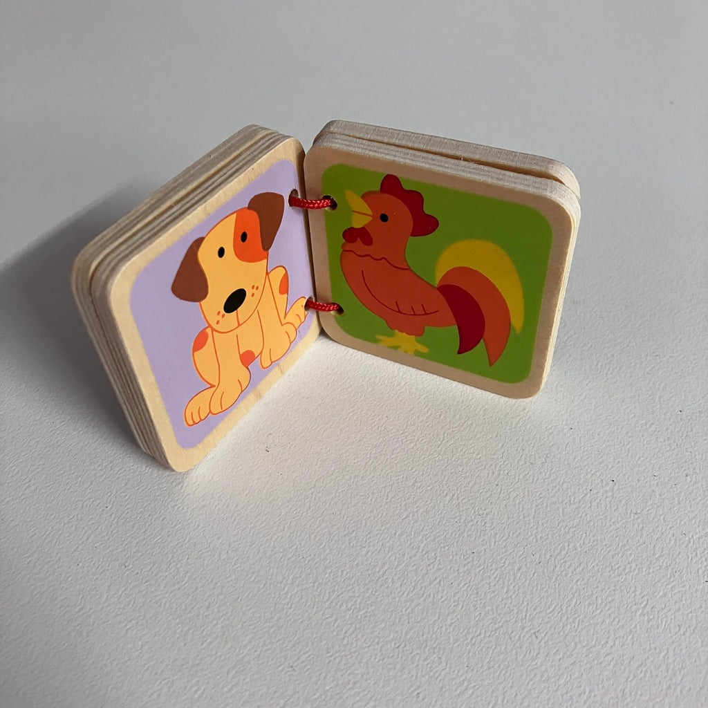 Wooden Animal Books - Assorted Designs