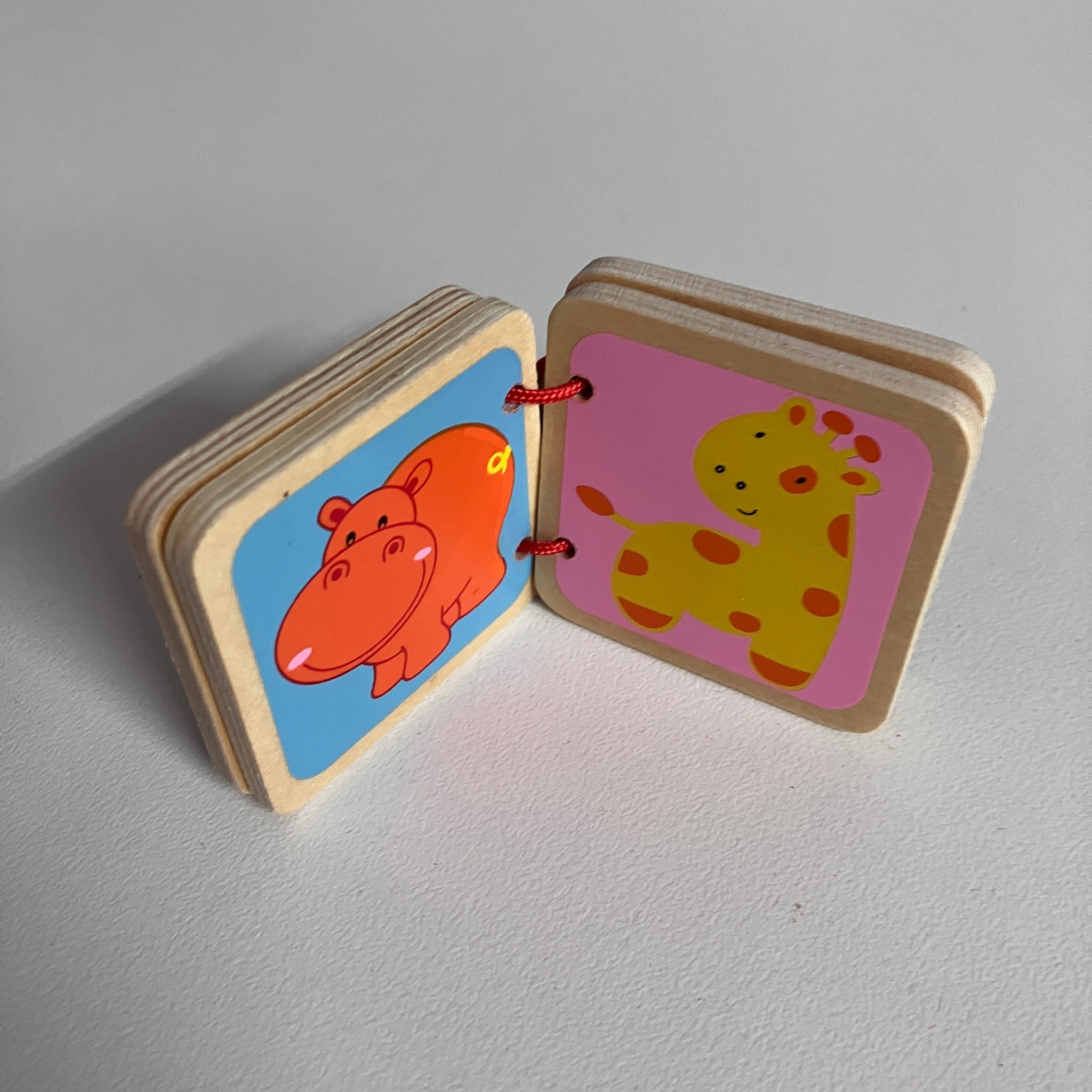 Wooden Animal Books - Assorted Designs
