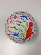 Balloon Ball Cover - Dinosaur