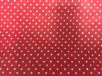 Wash Bag - Medium - Red Spot