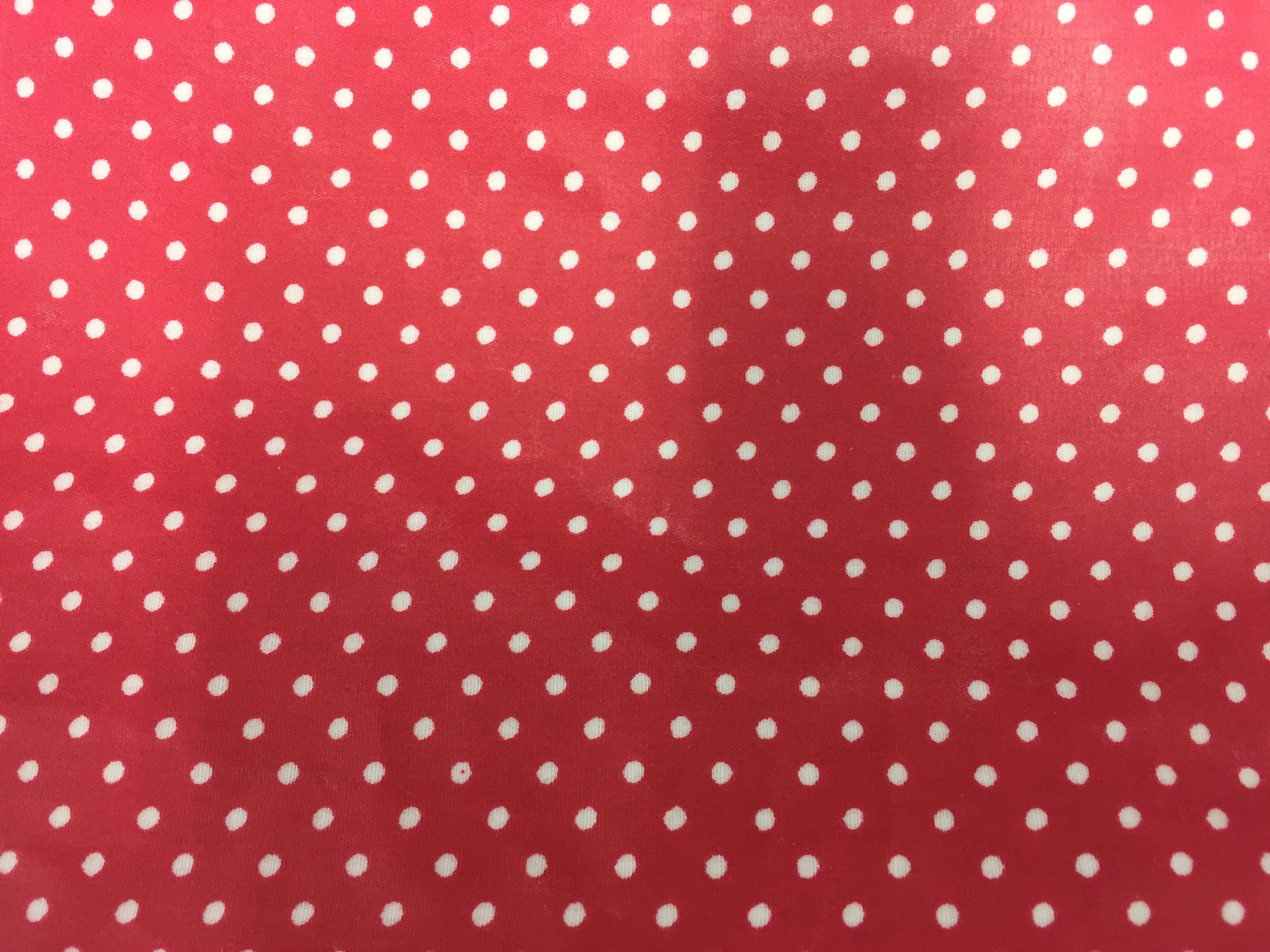 Wash Bag - Medium - Red Spot