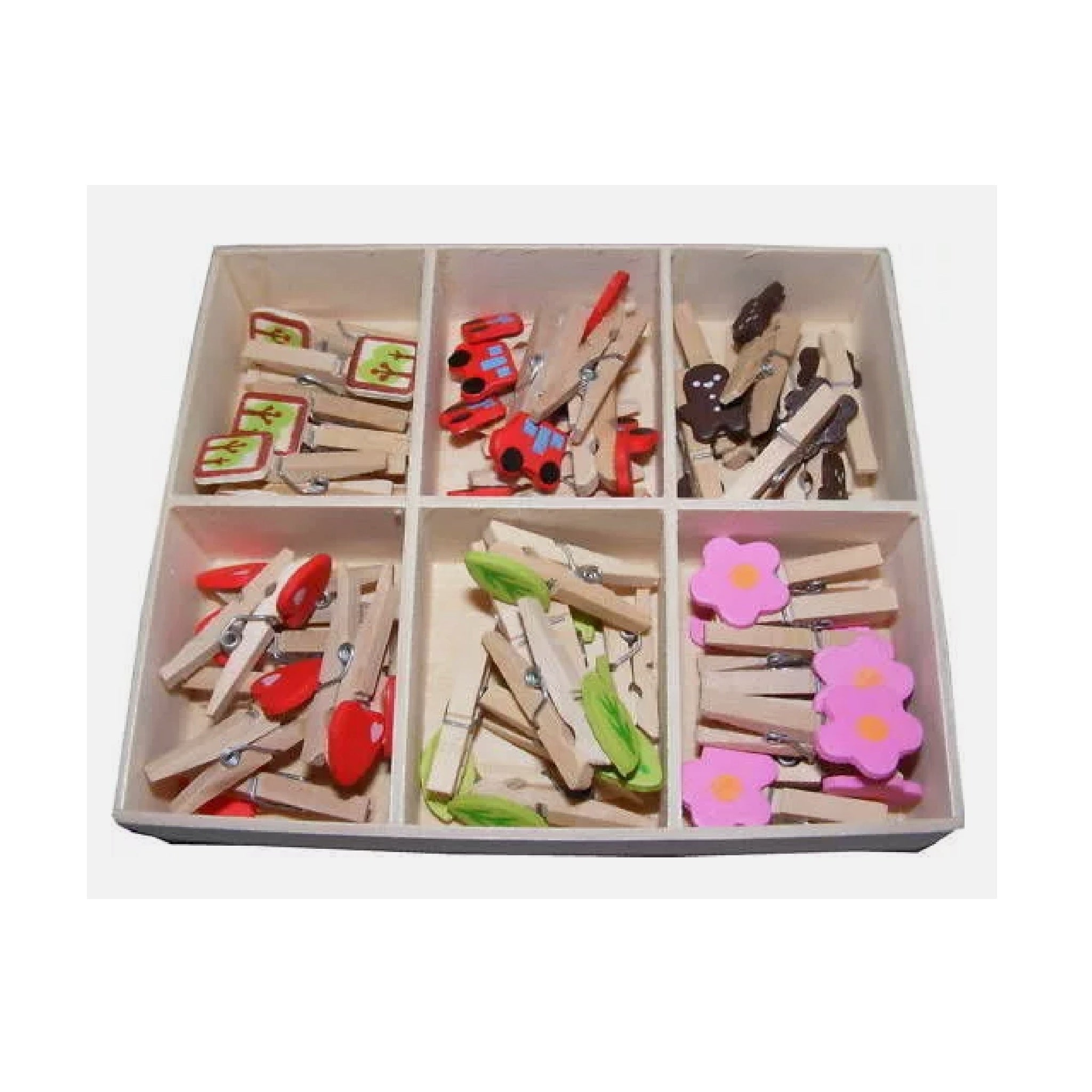 Wooden Mini Pegs in Box - Leaves