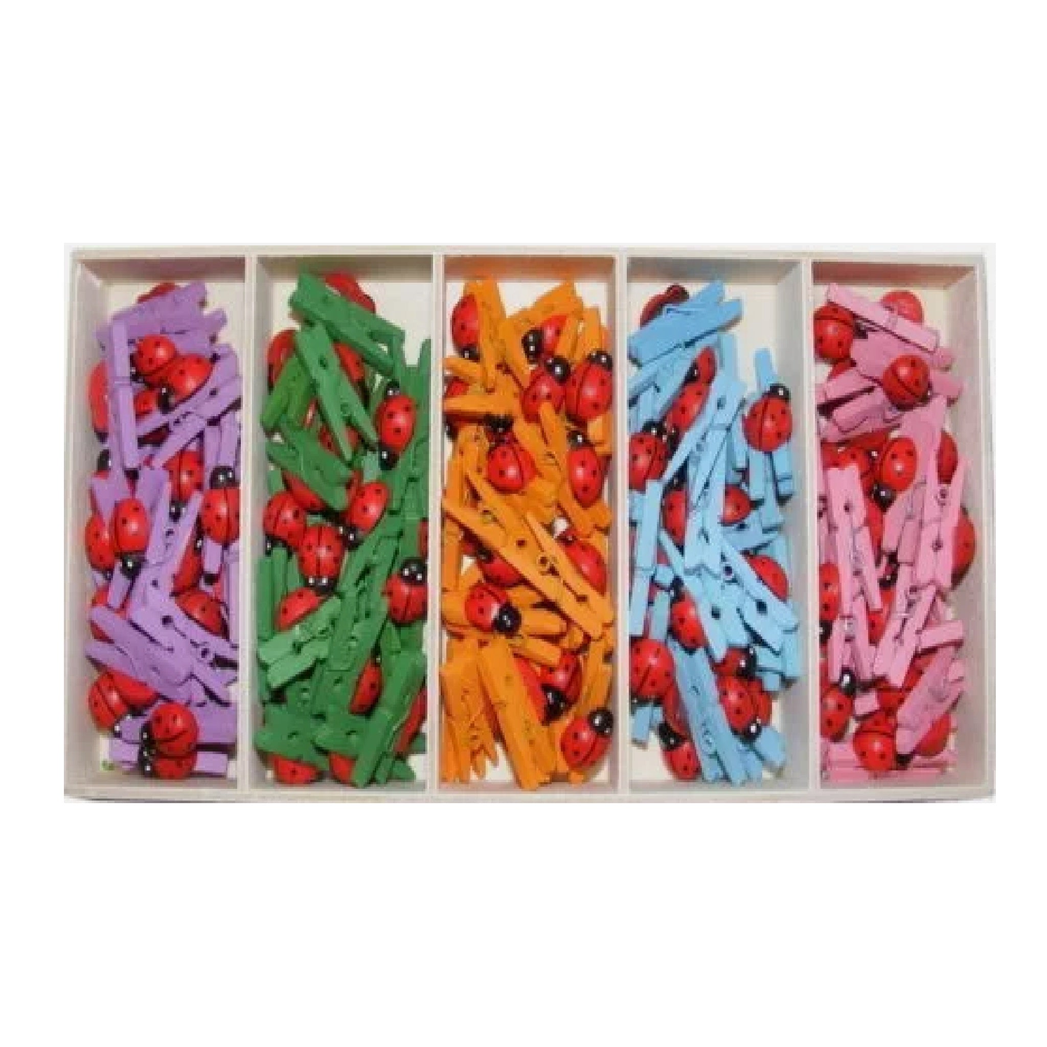 Wooden Mini Pegs in Box - Ladybird