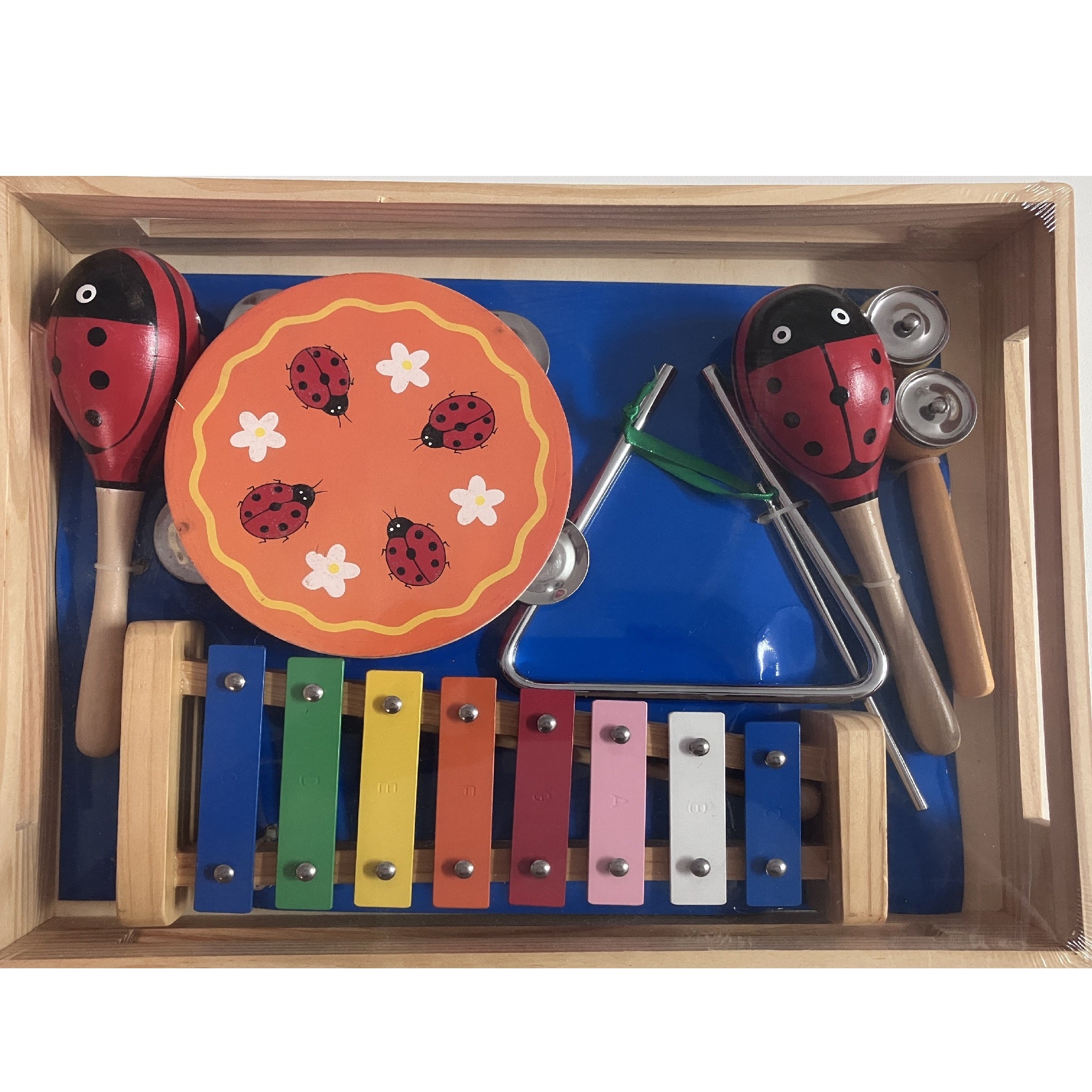 Music Set in Wooden Box - Large - Ladybird