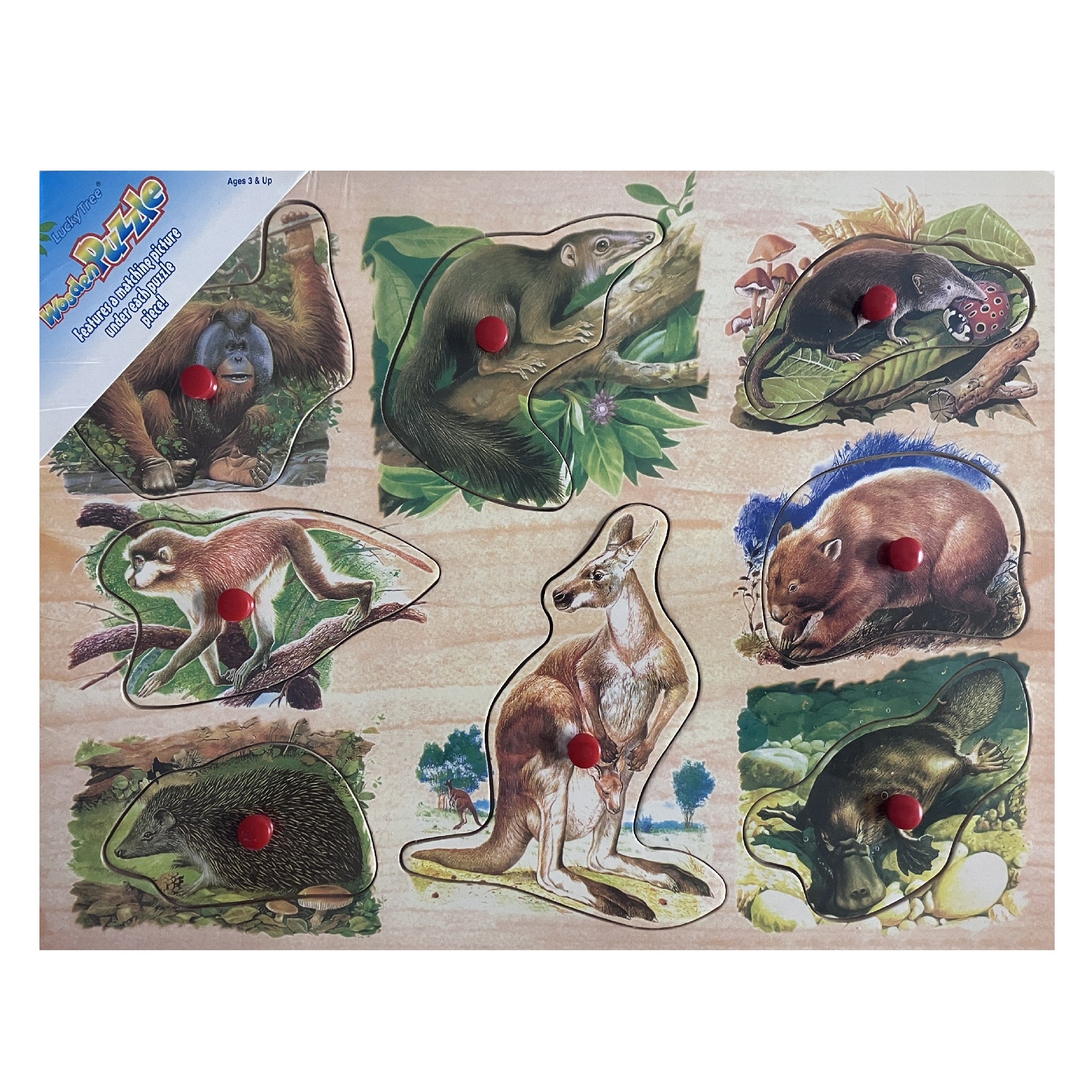 Wooden Puzzle - Wildlife