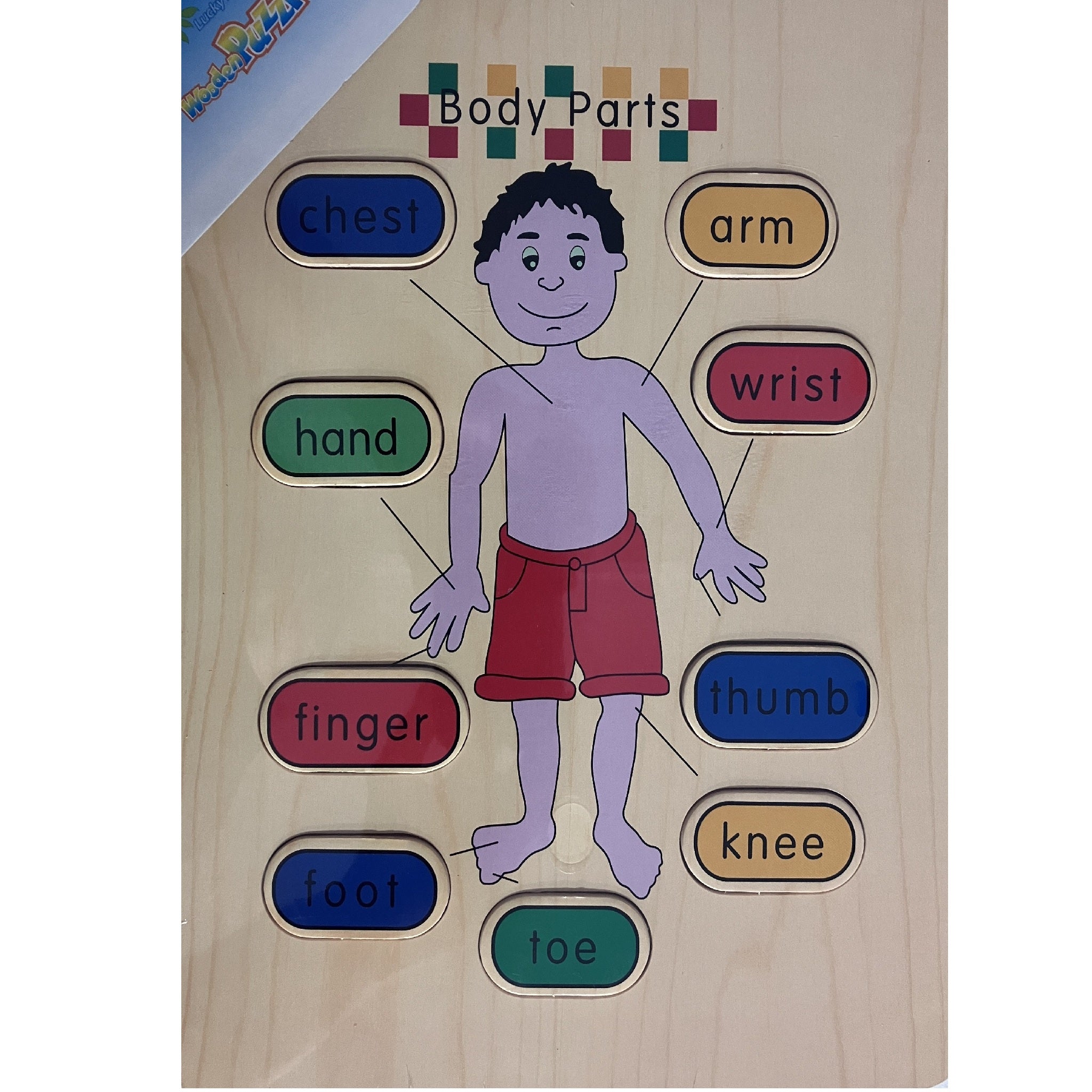 Wooden Puzzle - Human Body