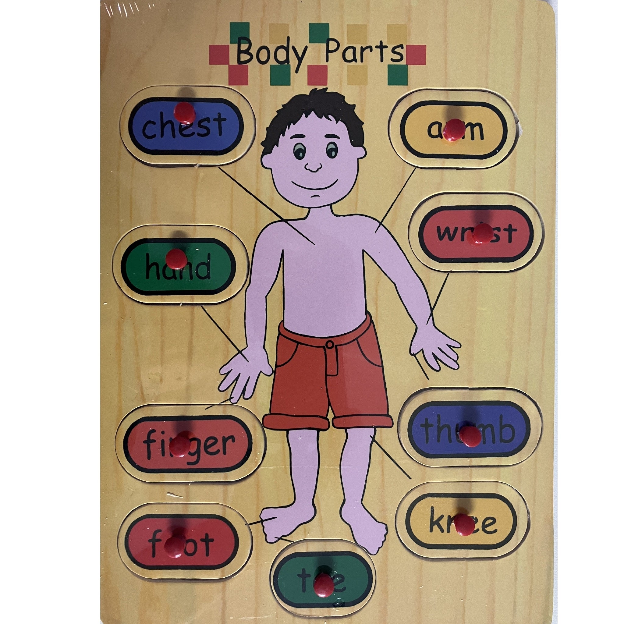 Wooden Pin Puzzle - Human Body