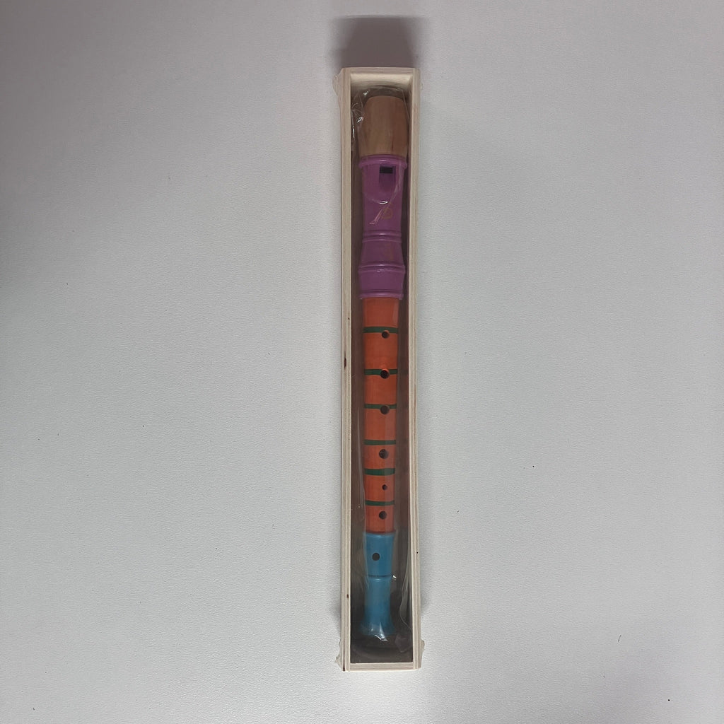 Wooden Recorder in Wooden Box - Large - Assorted Designs