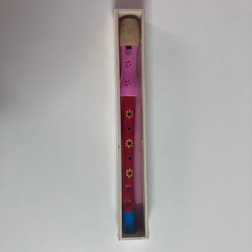 Wooden Recorder in Wooden Box - Large - Assorted Designs