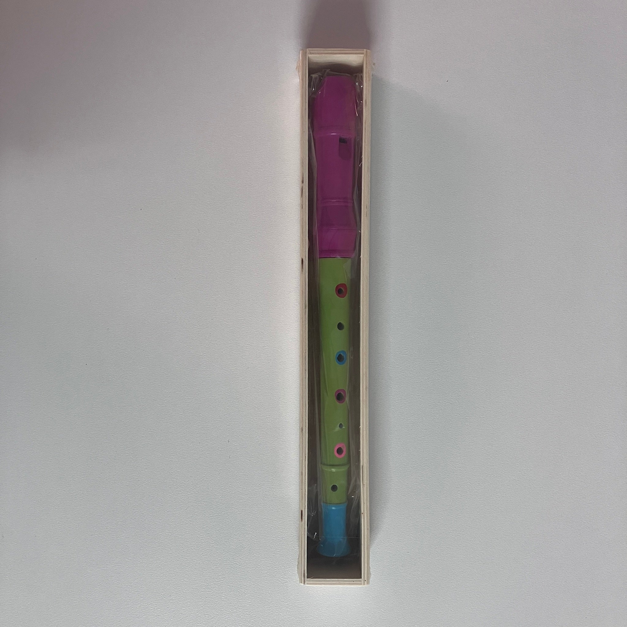 Wooden Recorder in Wooden Box - Large - Assorted Designs
