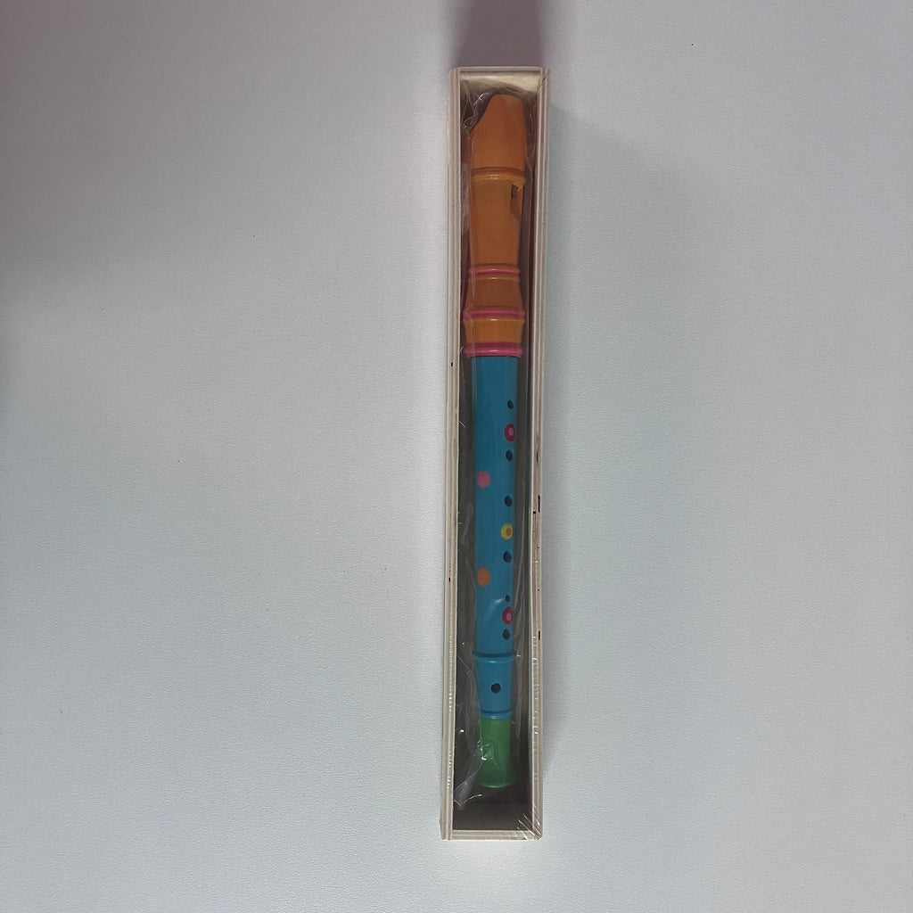 Wooden Recorder in Wooden Box - Large - Assorted Designs