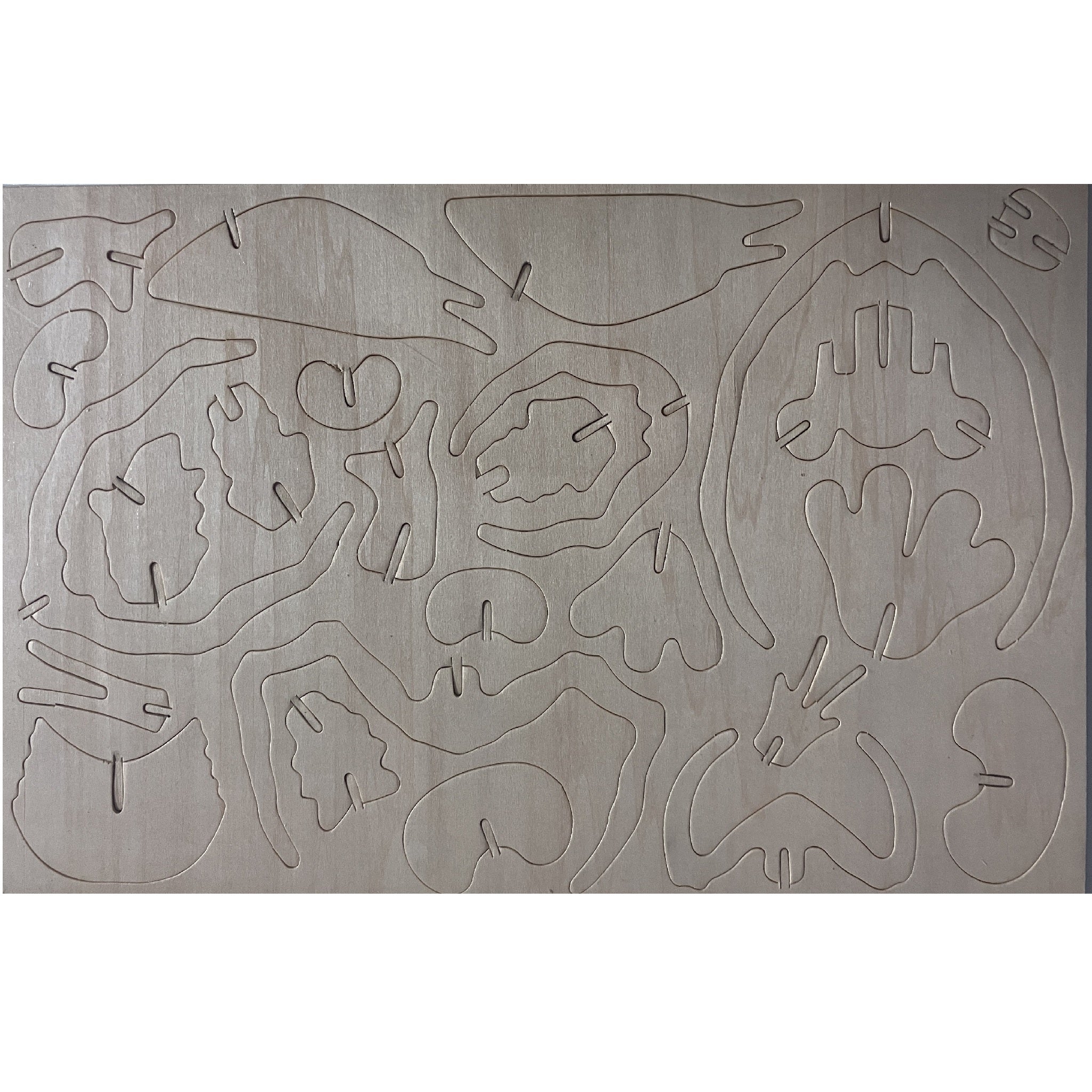Wooden Woodcraft Construction Kit - Lobster