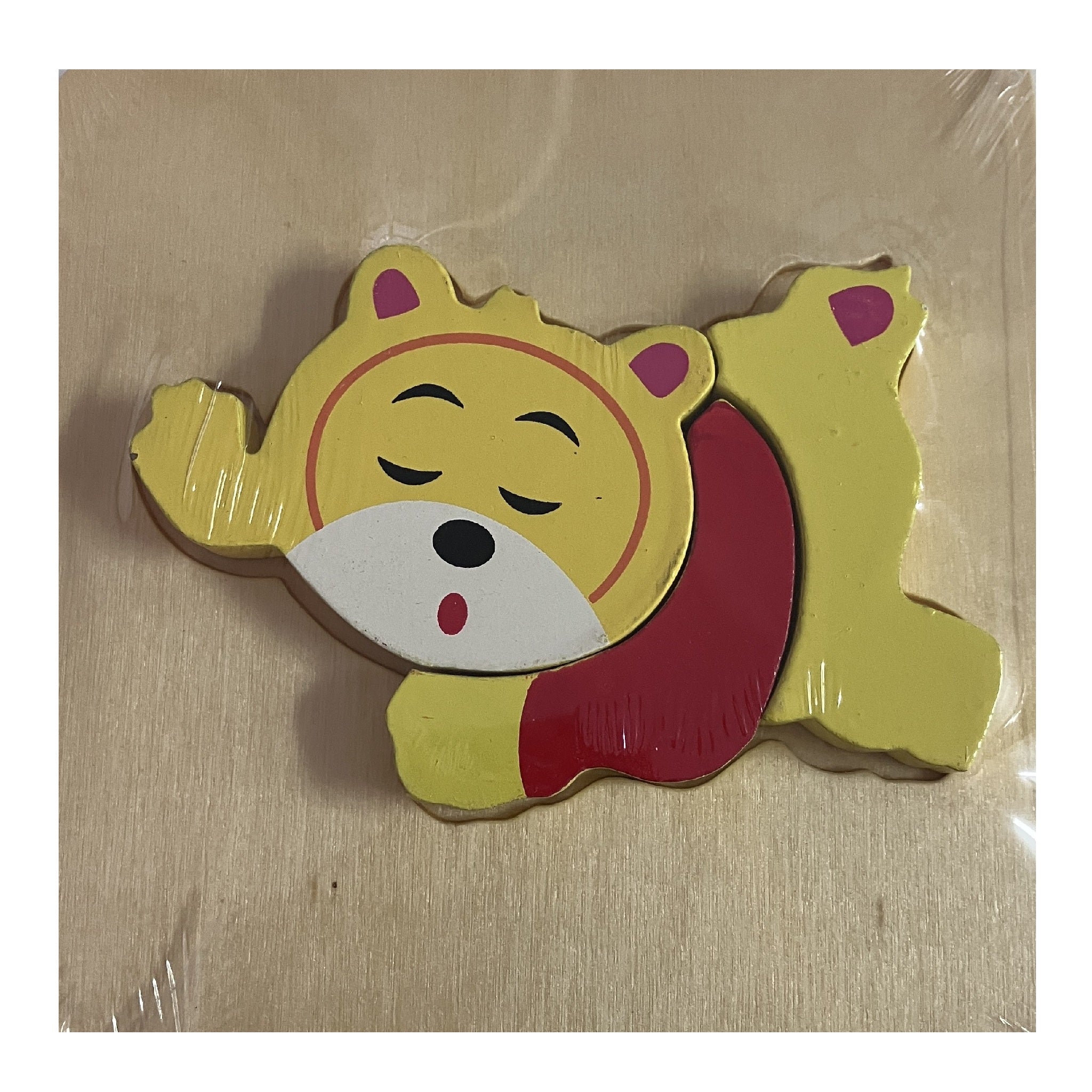 Wooden Block Puzzle - Assorted Designs