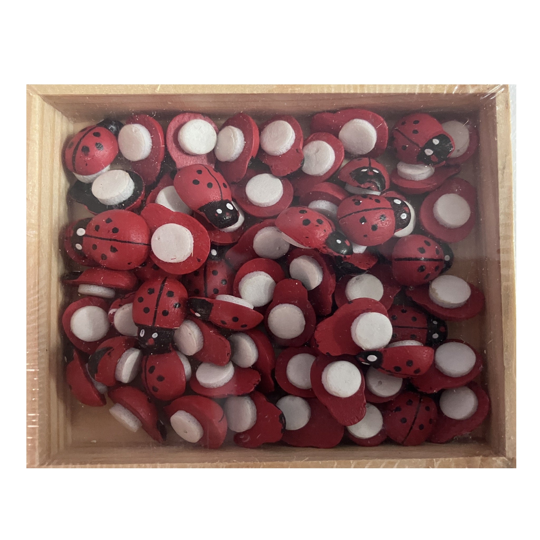 Wooden Stickers in Box - Ladybirds