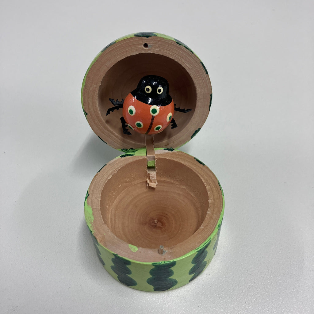 Wooden Ladybird in Fruit - Assorted Designs