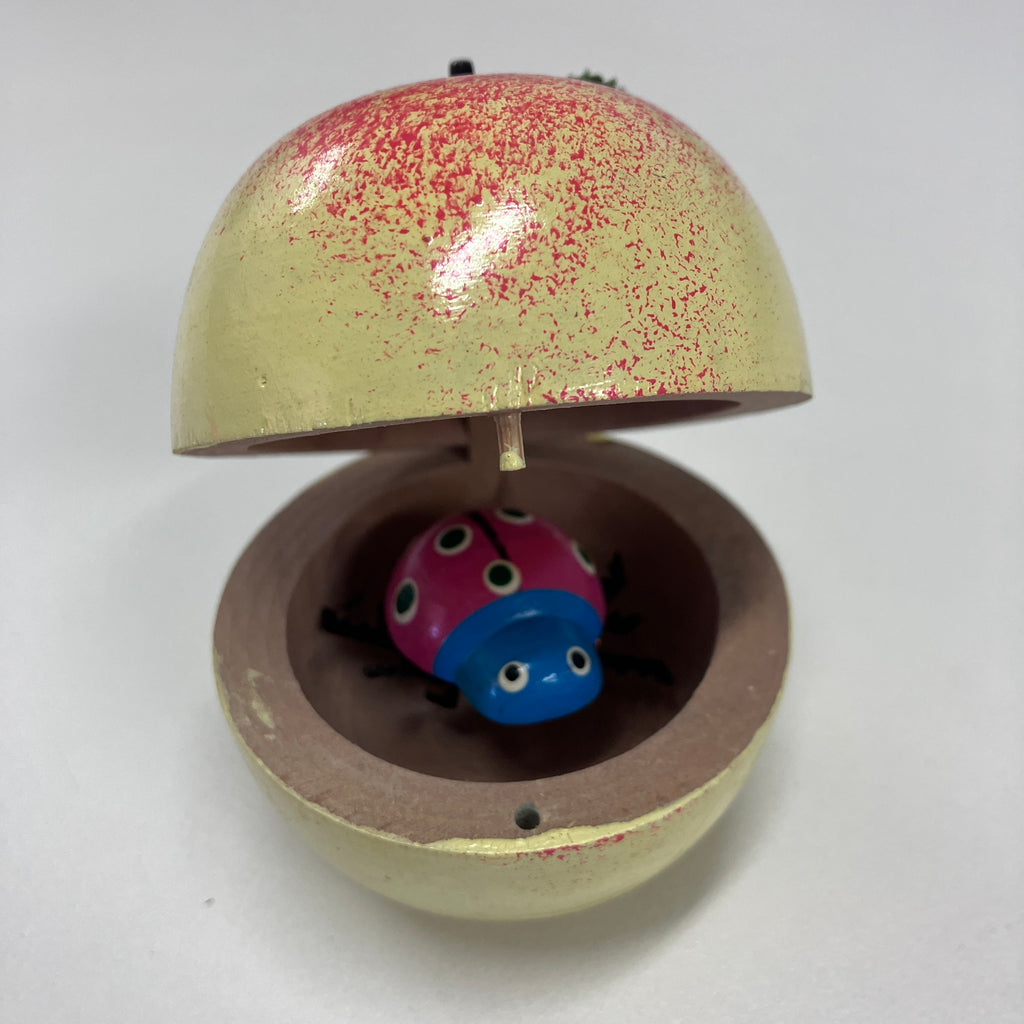 Wooden Ladybird in Fruit - Assorted Designs