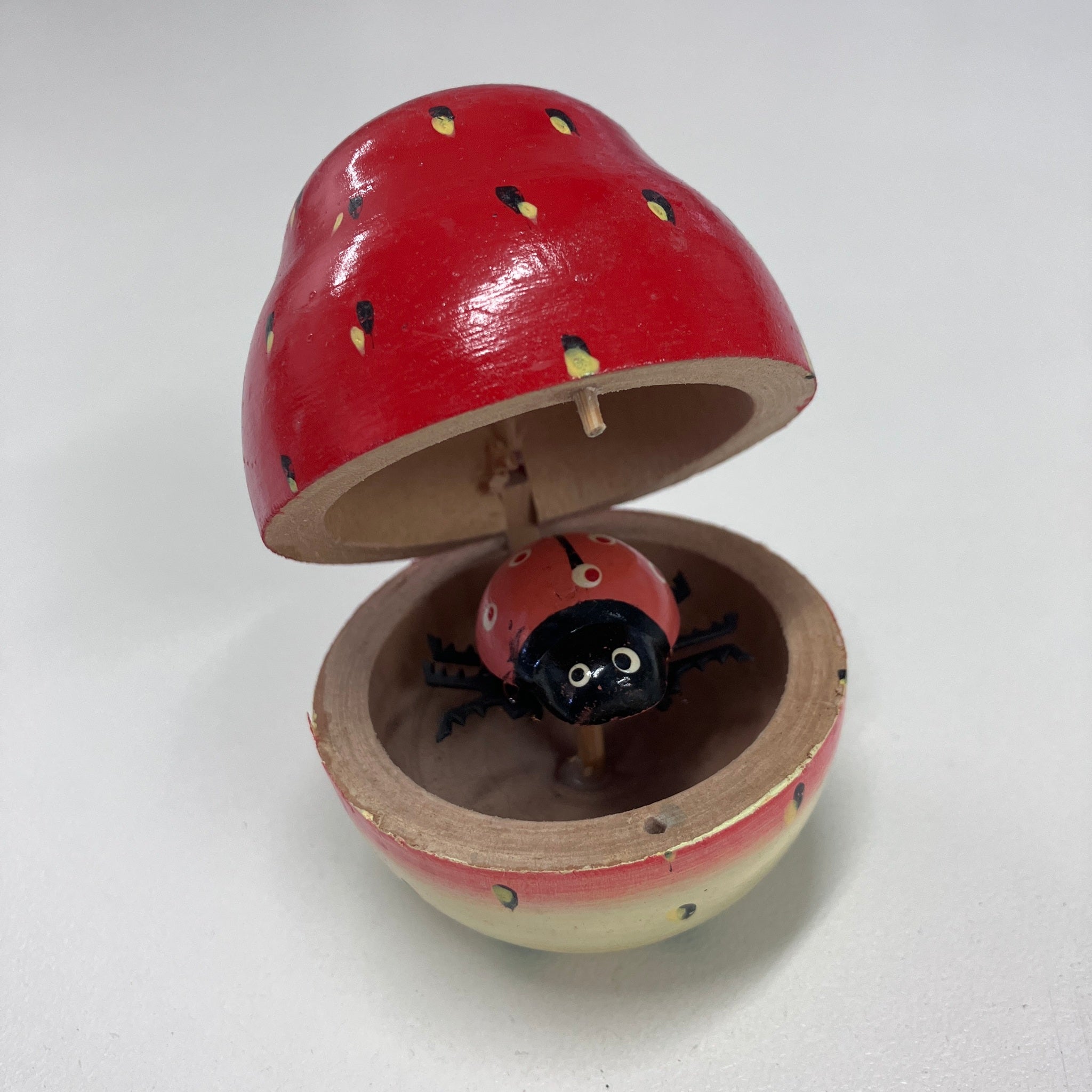 Wooden Ladybird in Fruit - Assorted Designs