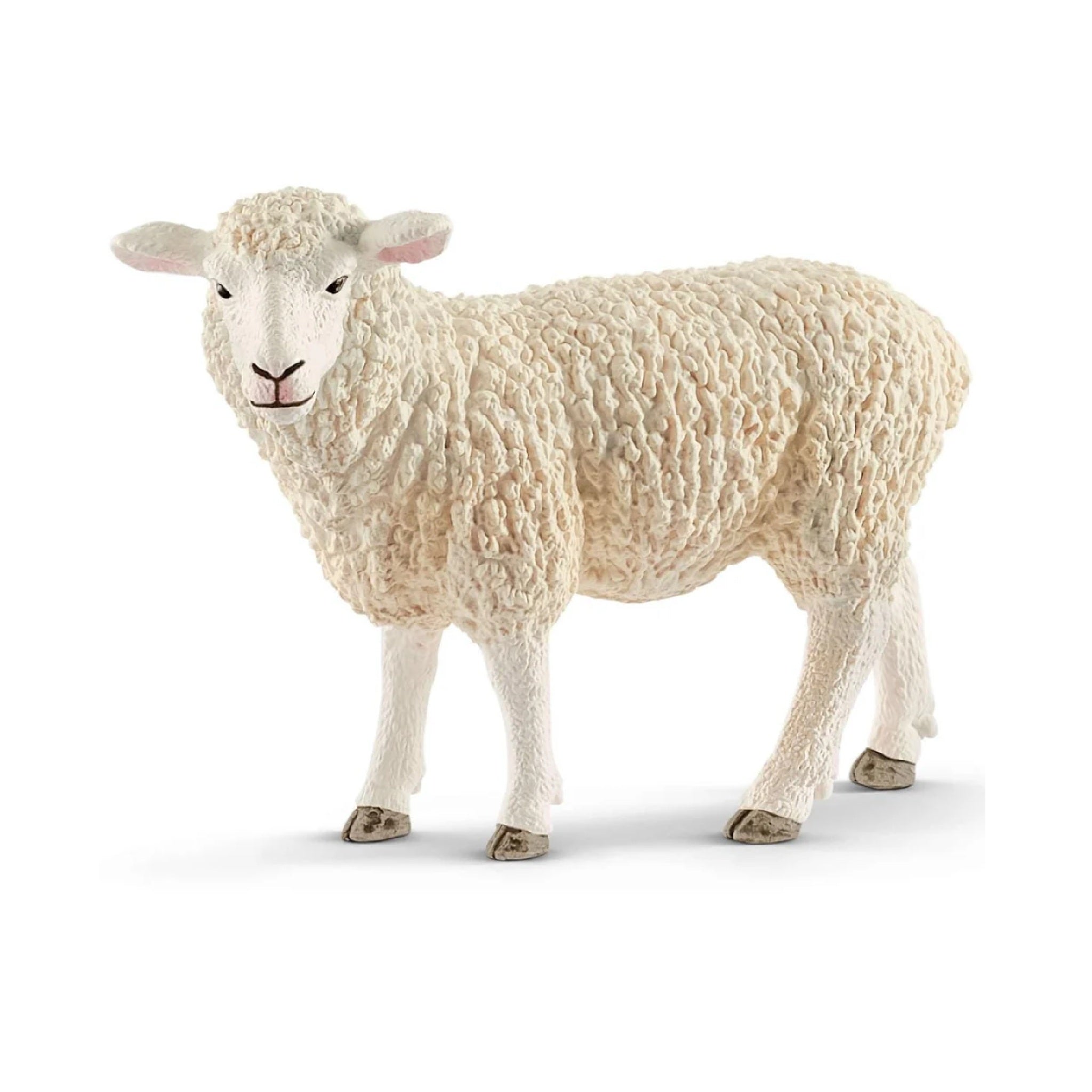 Schleich - Sheep - 13882