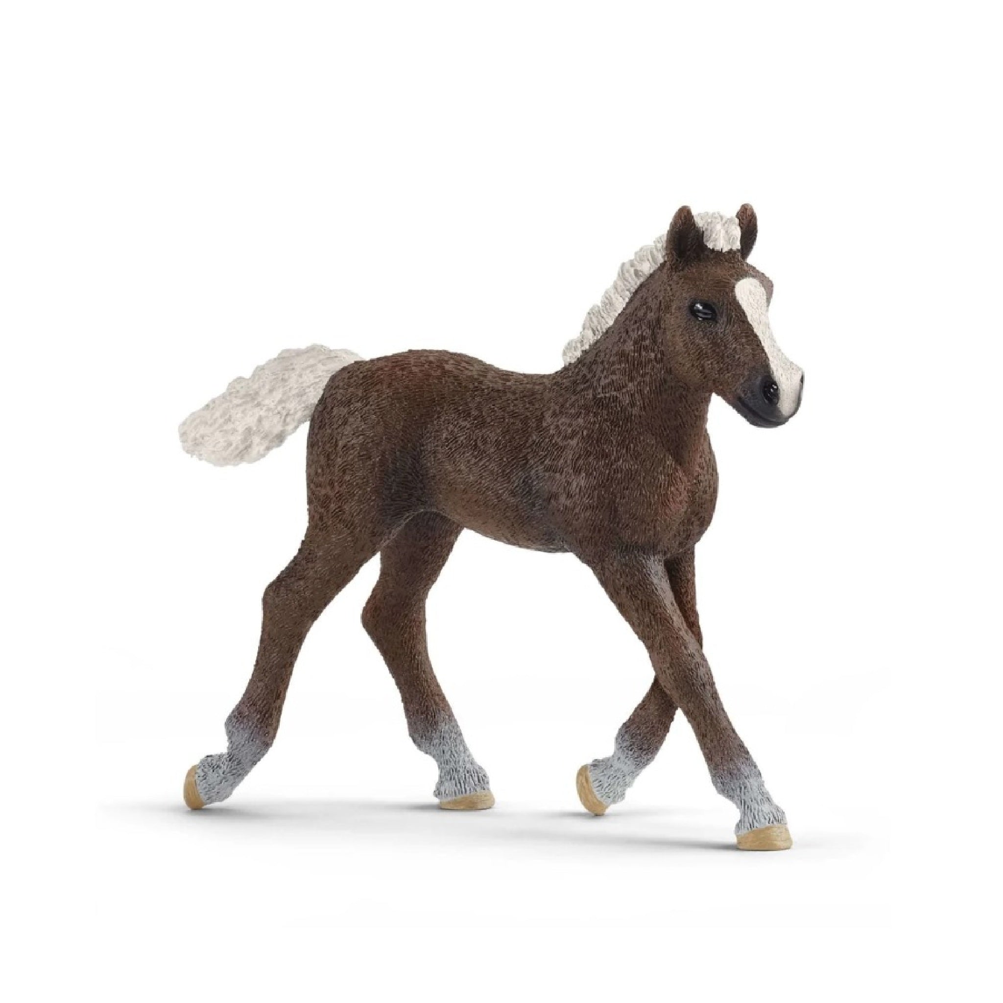 Schleich - Black Forest Foal - 13899