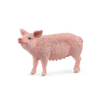 Schleich - Pig - 13933