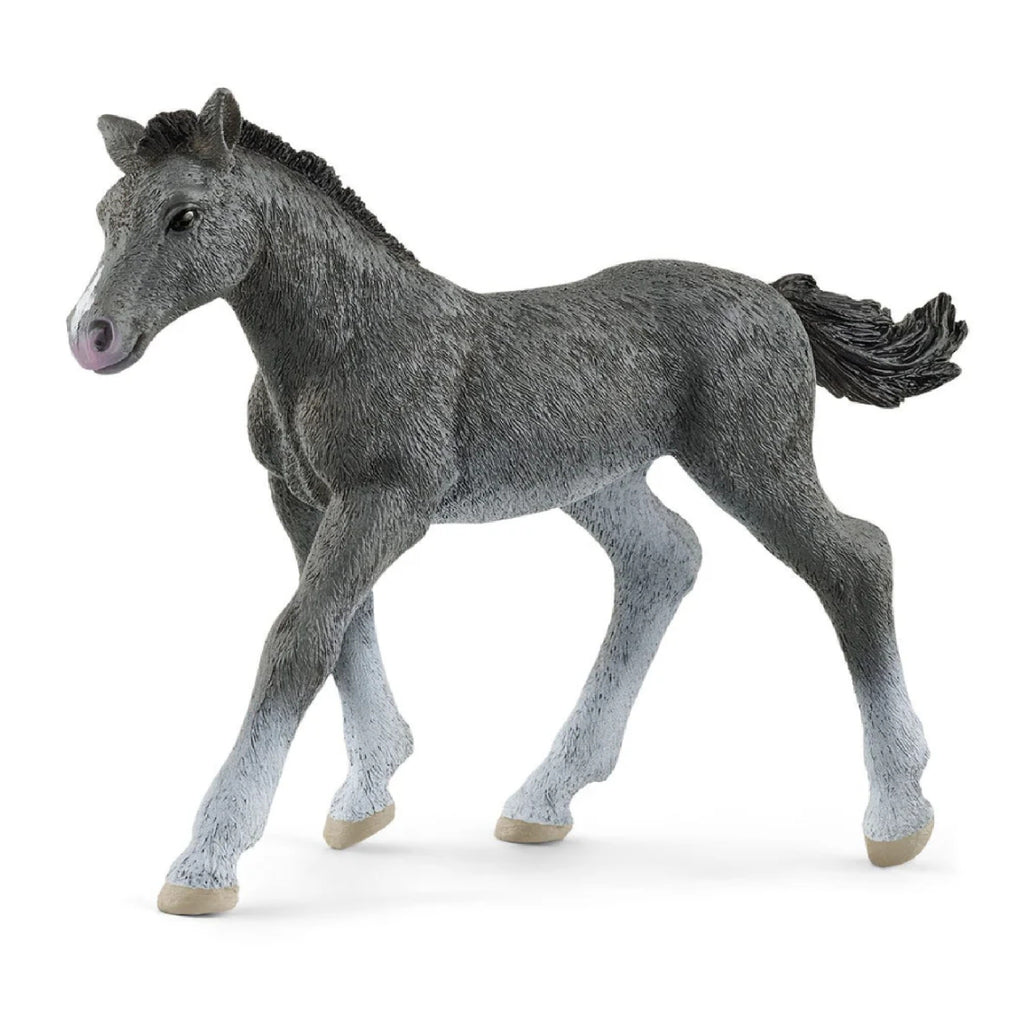 Schleich - Trakehner Foal - 13944