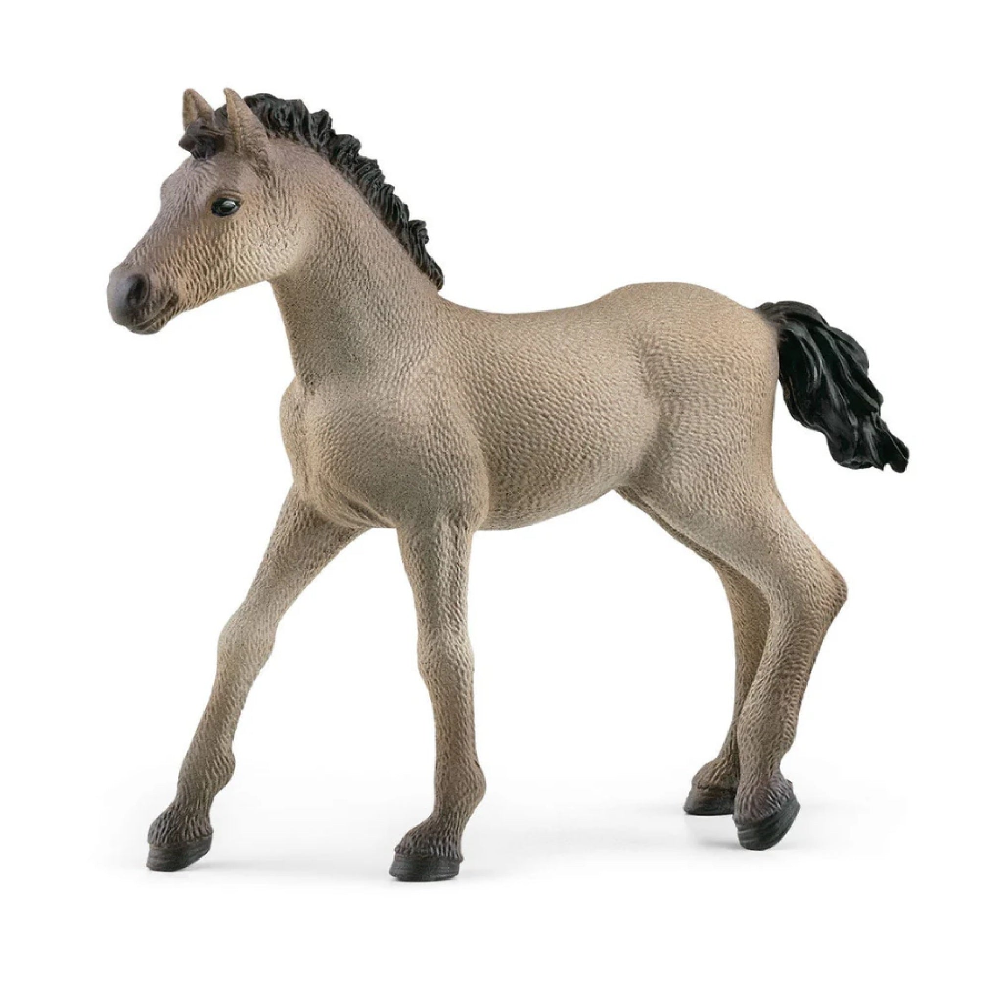 Schleich - Criollo Definitivo Foal - 13949