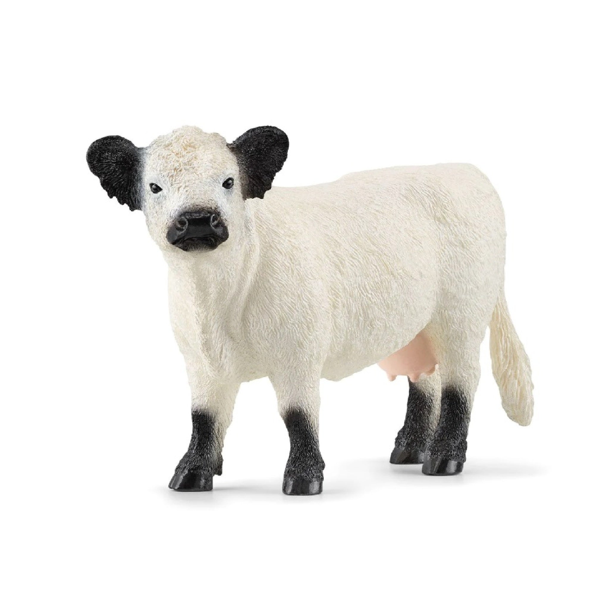 Schleich - Galloway Cow - 13960