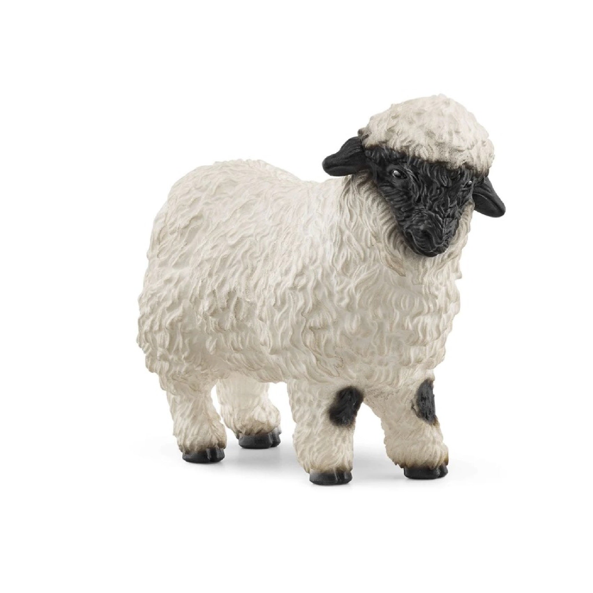Schleich - Valais Blacknose Sheep - 13965