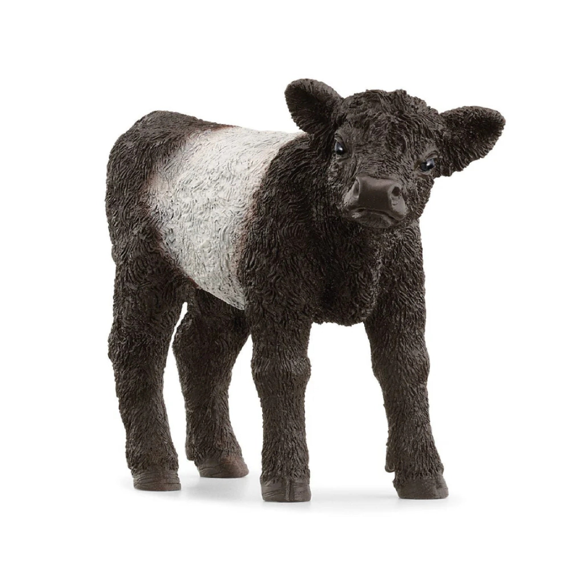 Schleich -Galloway Calf - 13969