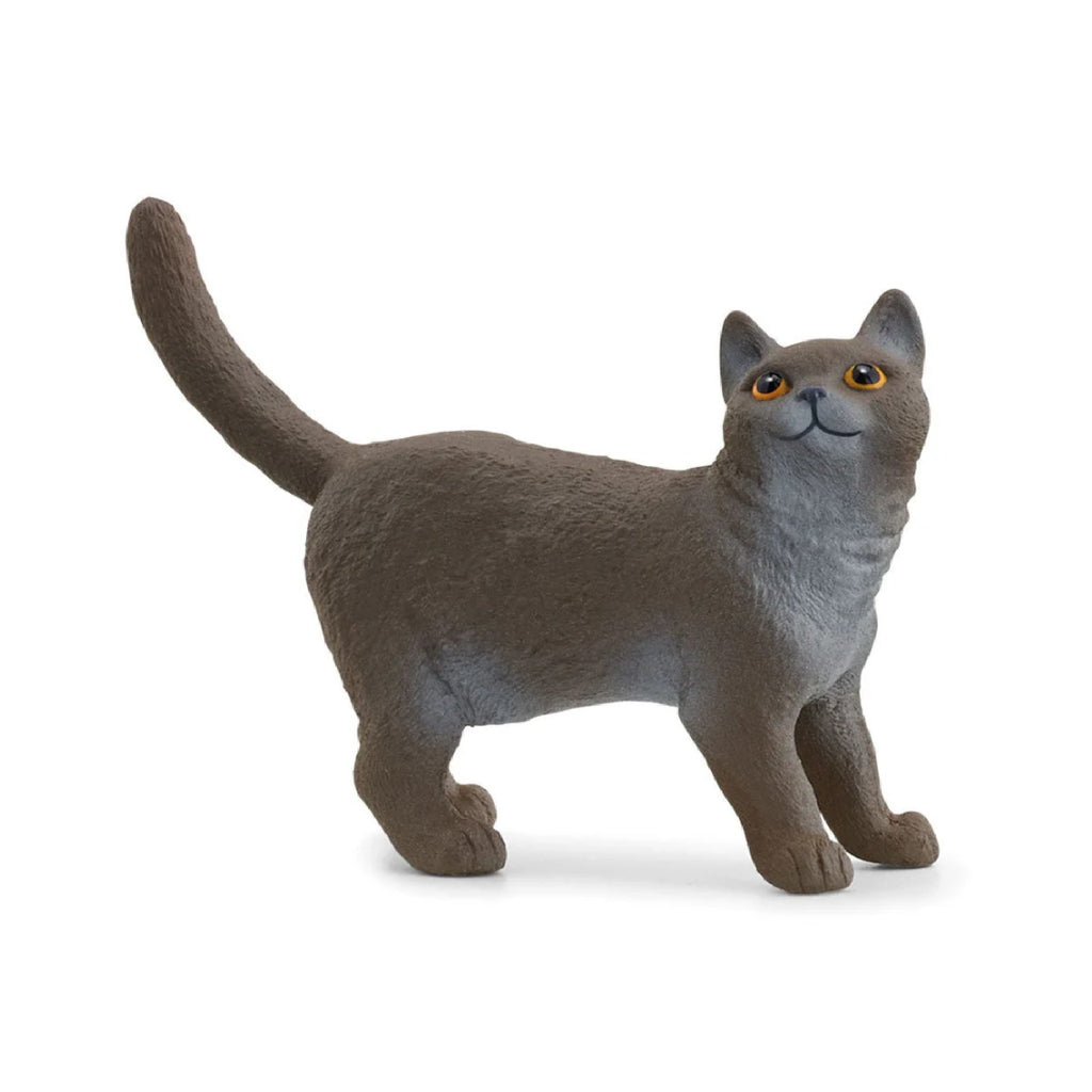 Schleich - British Shorthair Cat - 13973