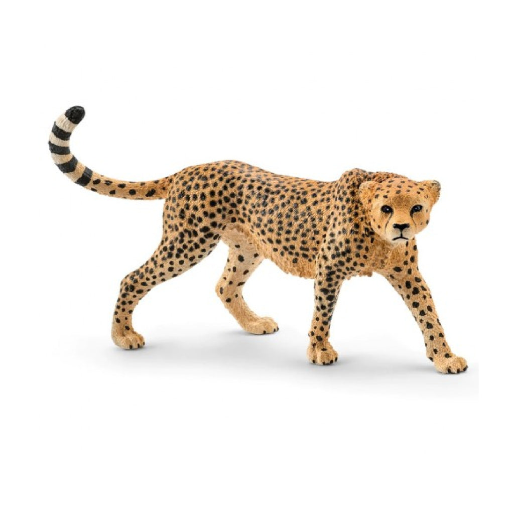 Schleich - Cheetah Female - 14746