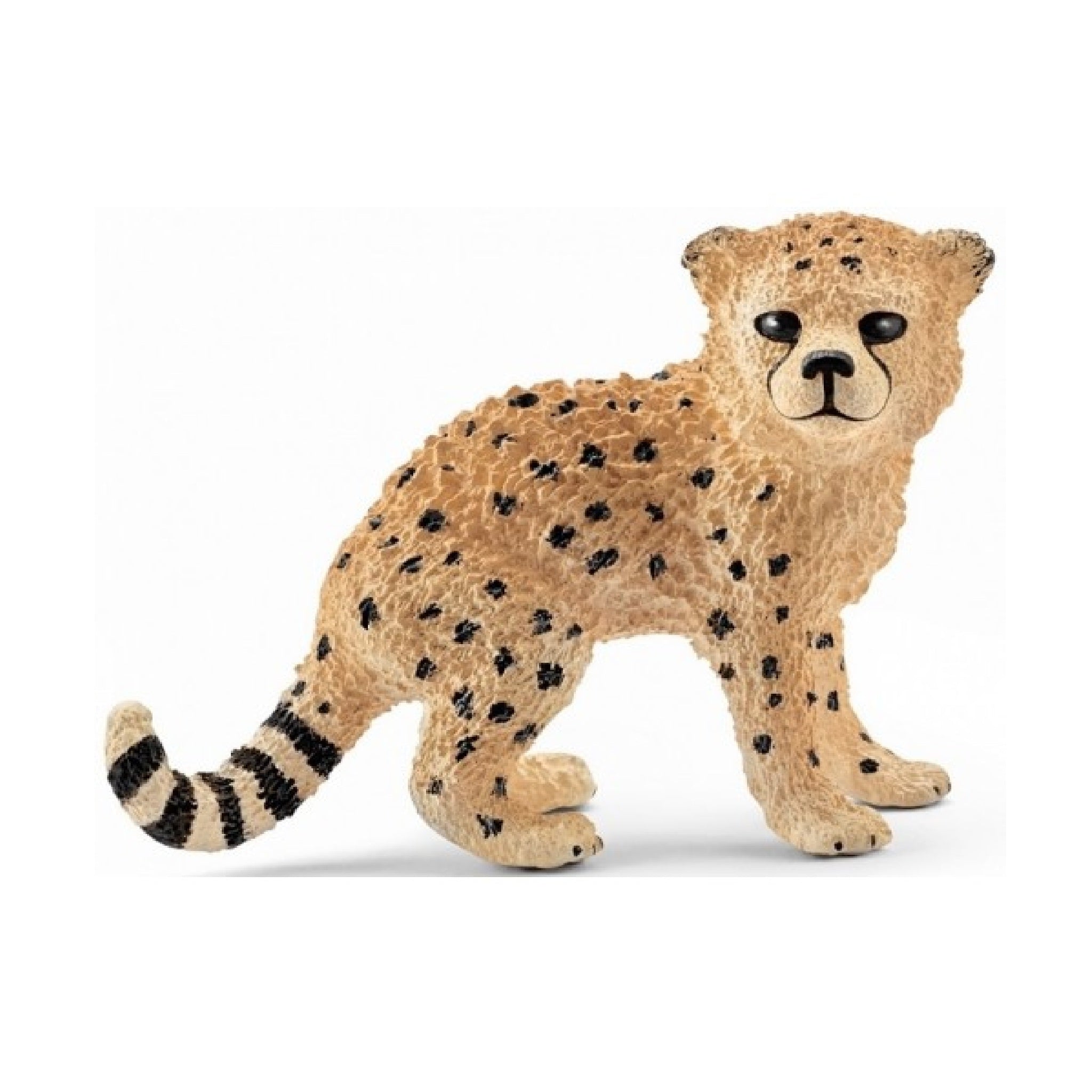 Schleich - Cheetah Cub - 14747