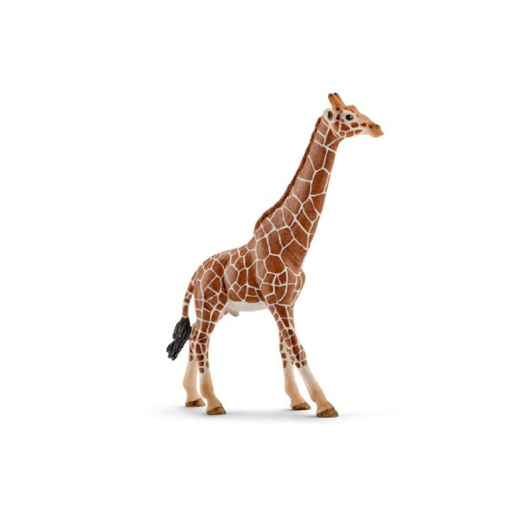 Schleich - Giraffe Male - 14749