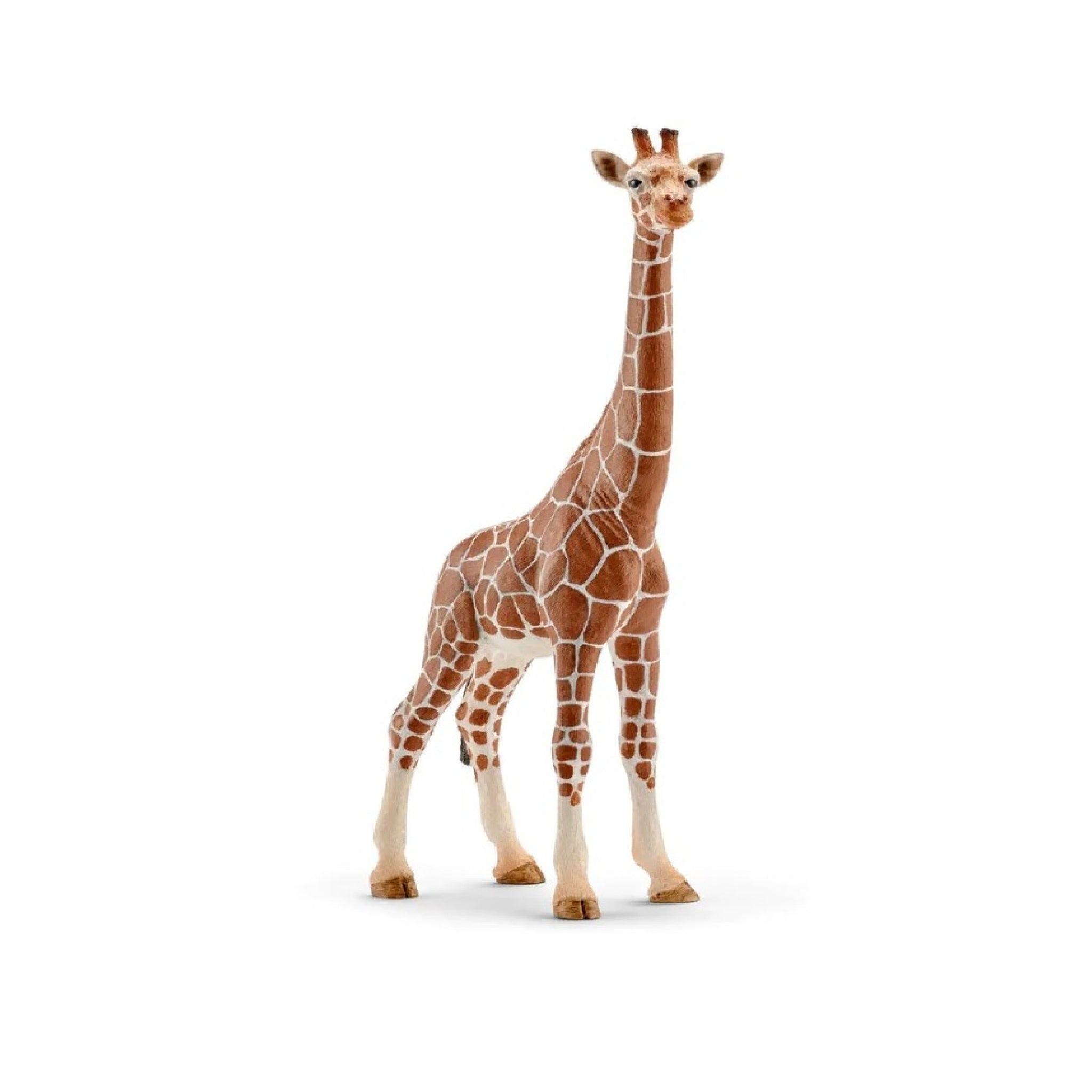 Schleich - Giraffe Female - 14750