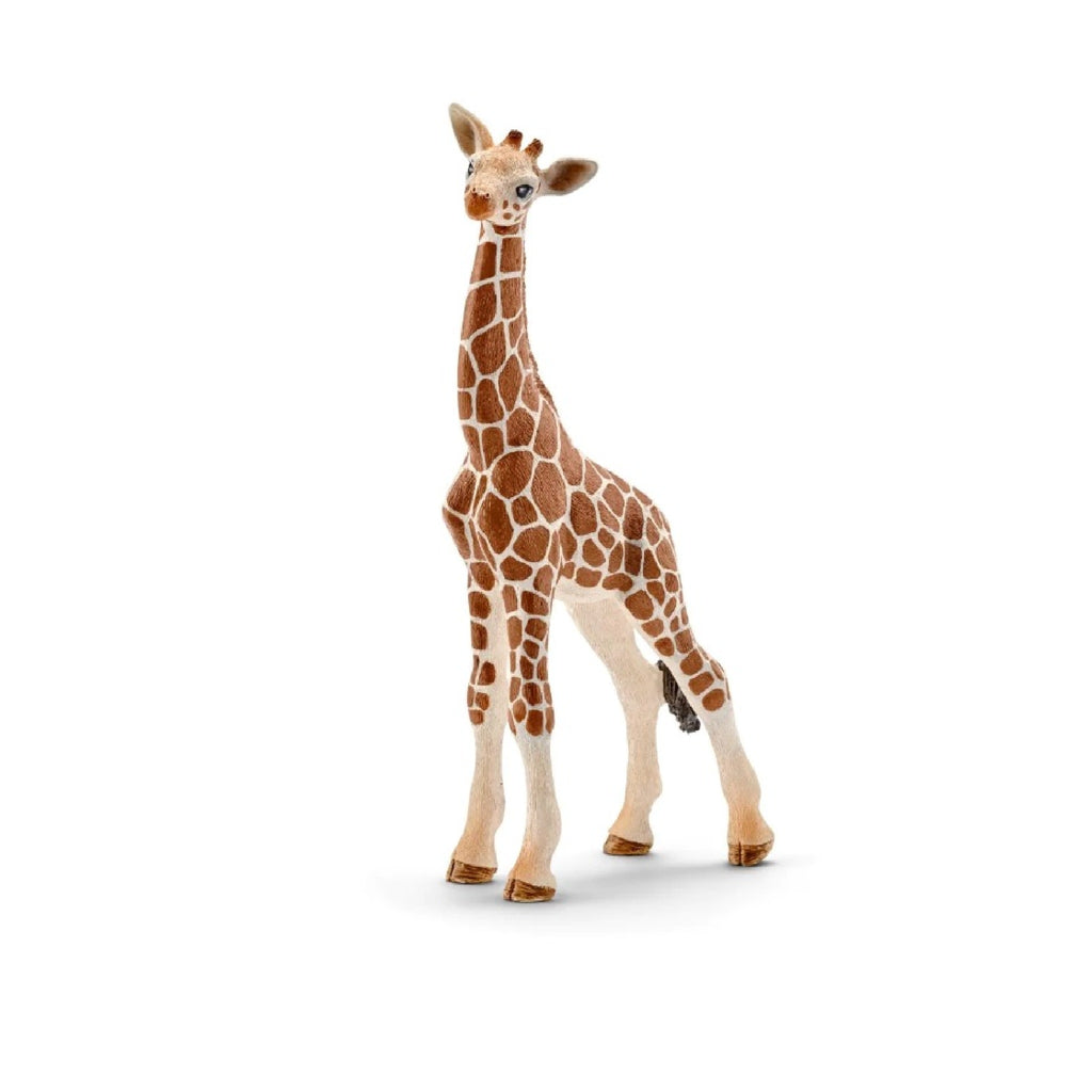 Schleich - Giraffe Calf - 14751