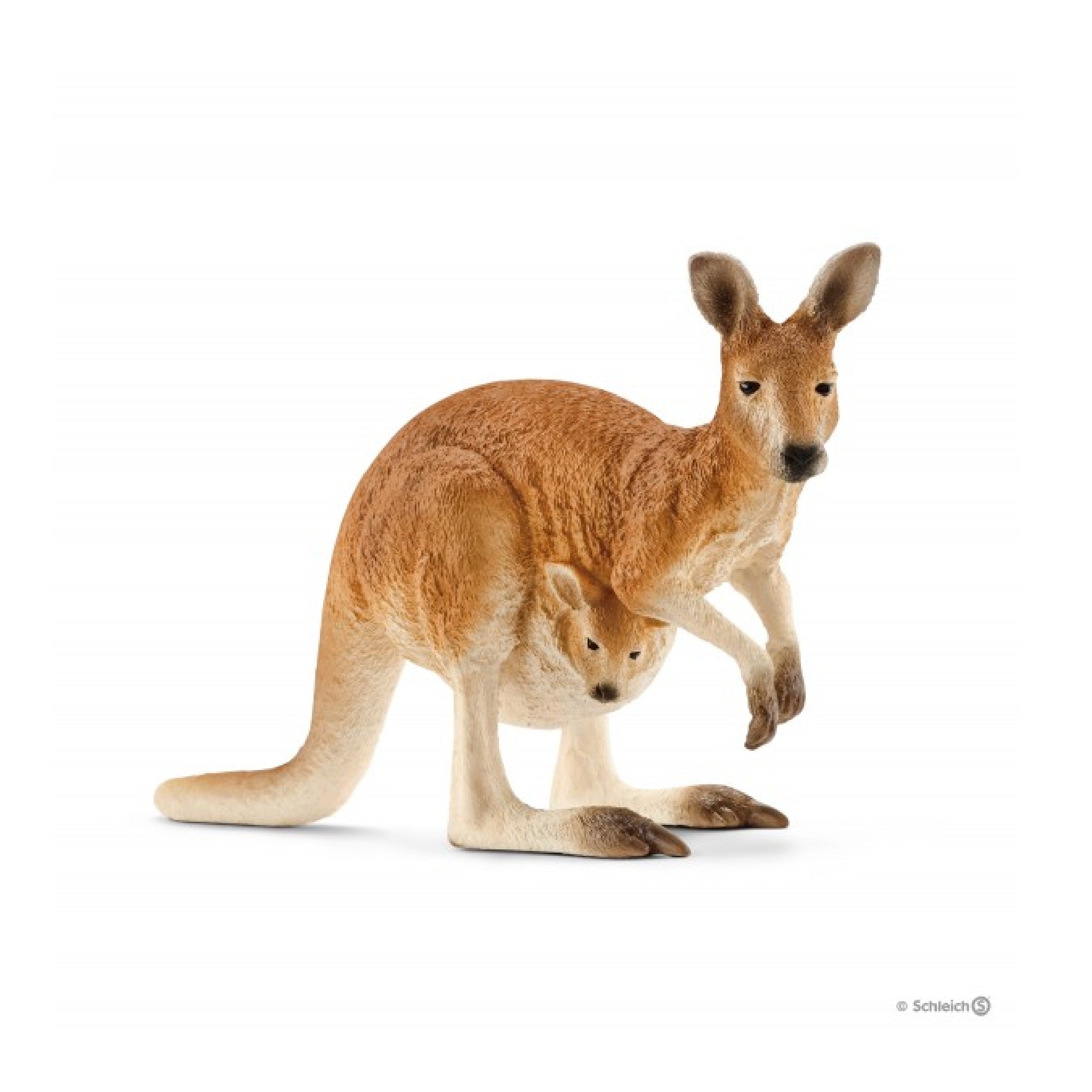 Schleich - Kangaroo - 14756