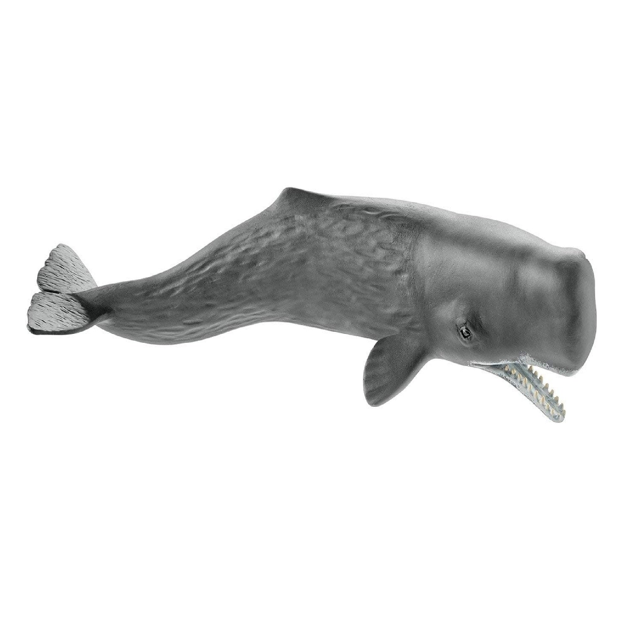 Schleich - Sperm Whale - 14764
