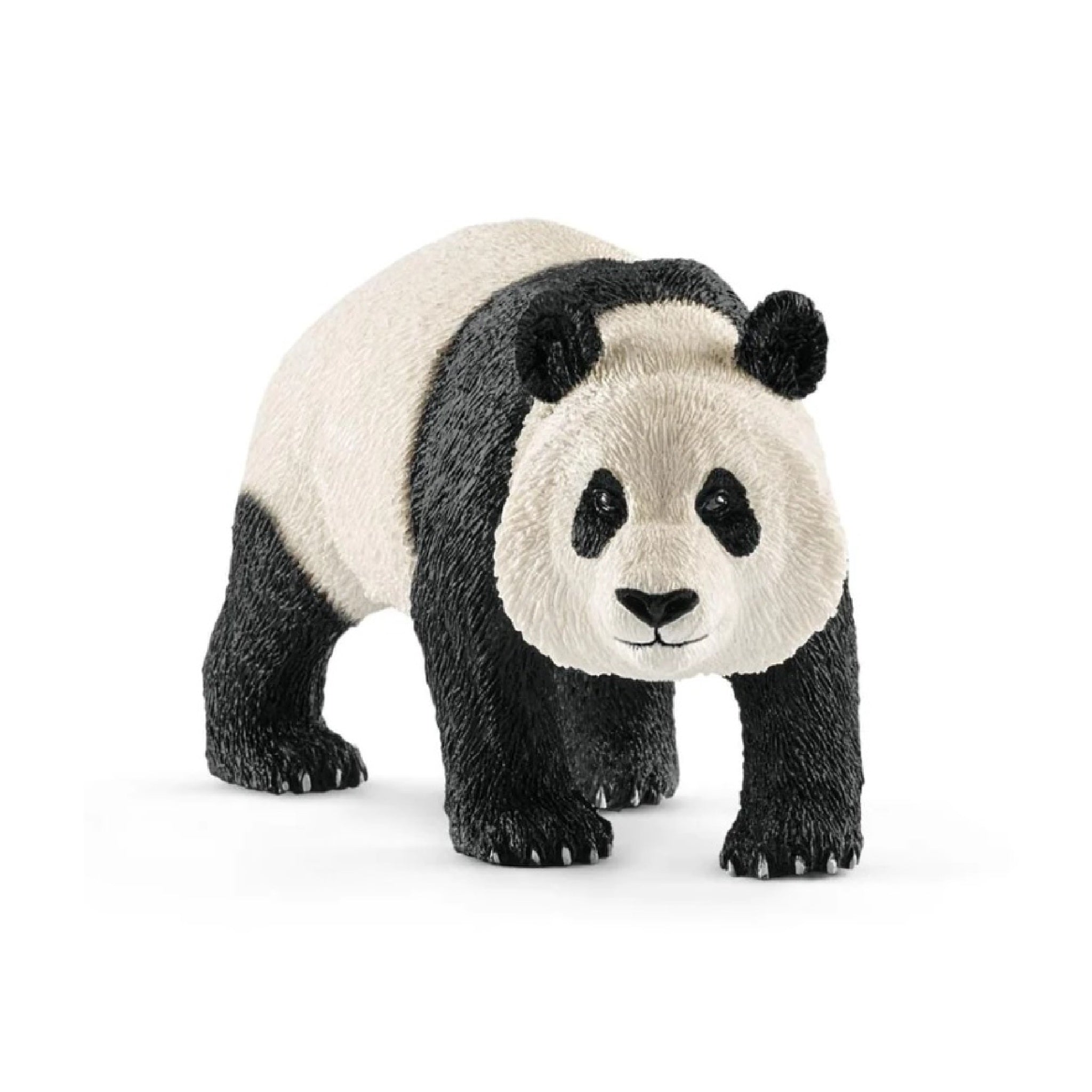 Schleich - Giant Panda, Male - 14772
