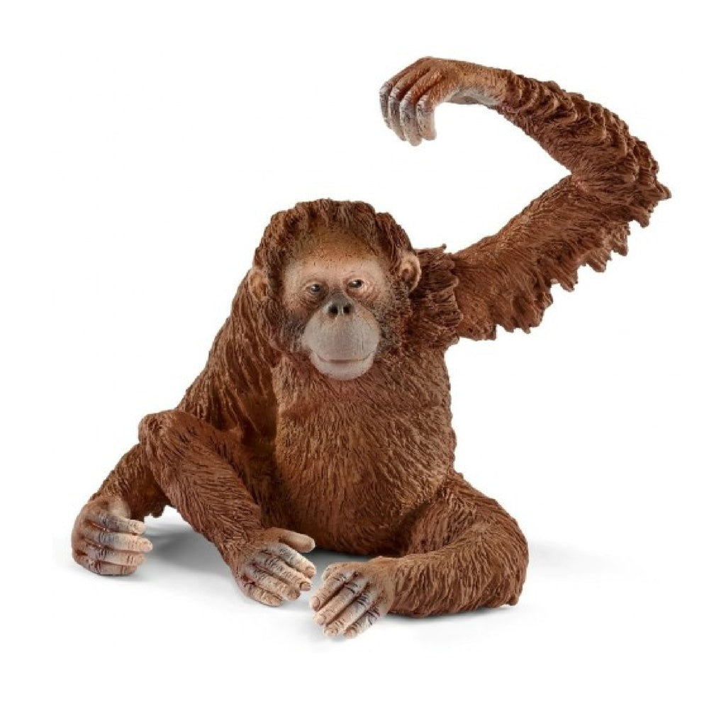 Schleich - Orangutan Female - 14775