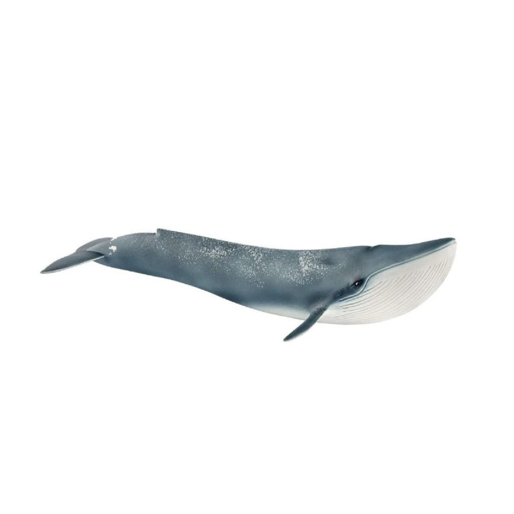 Schleich - Blue Whale - 14806