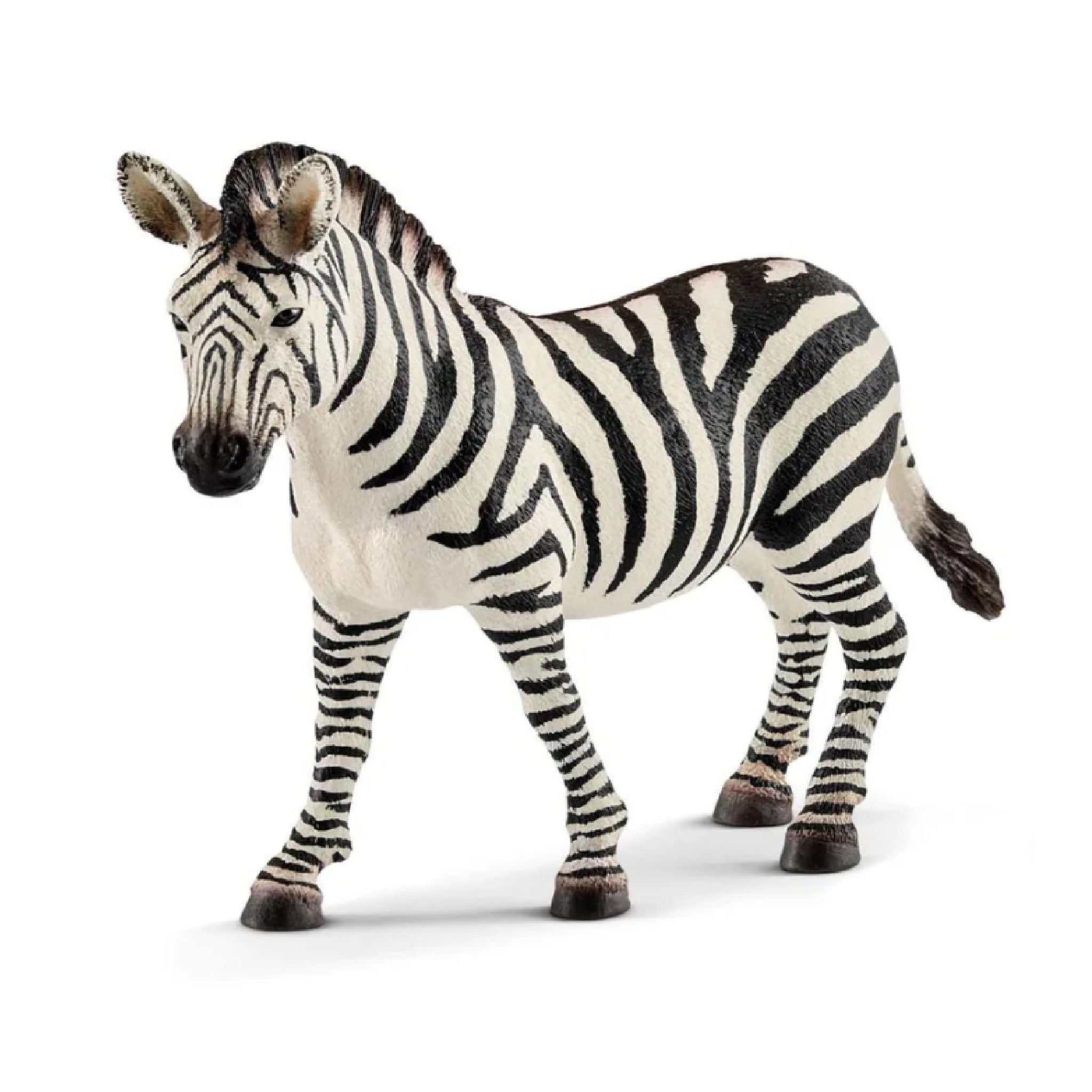 Schleich - Zebra Female - 14810