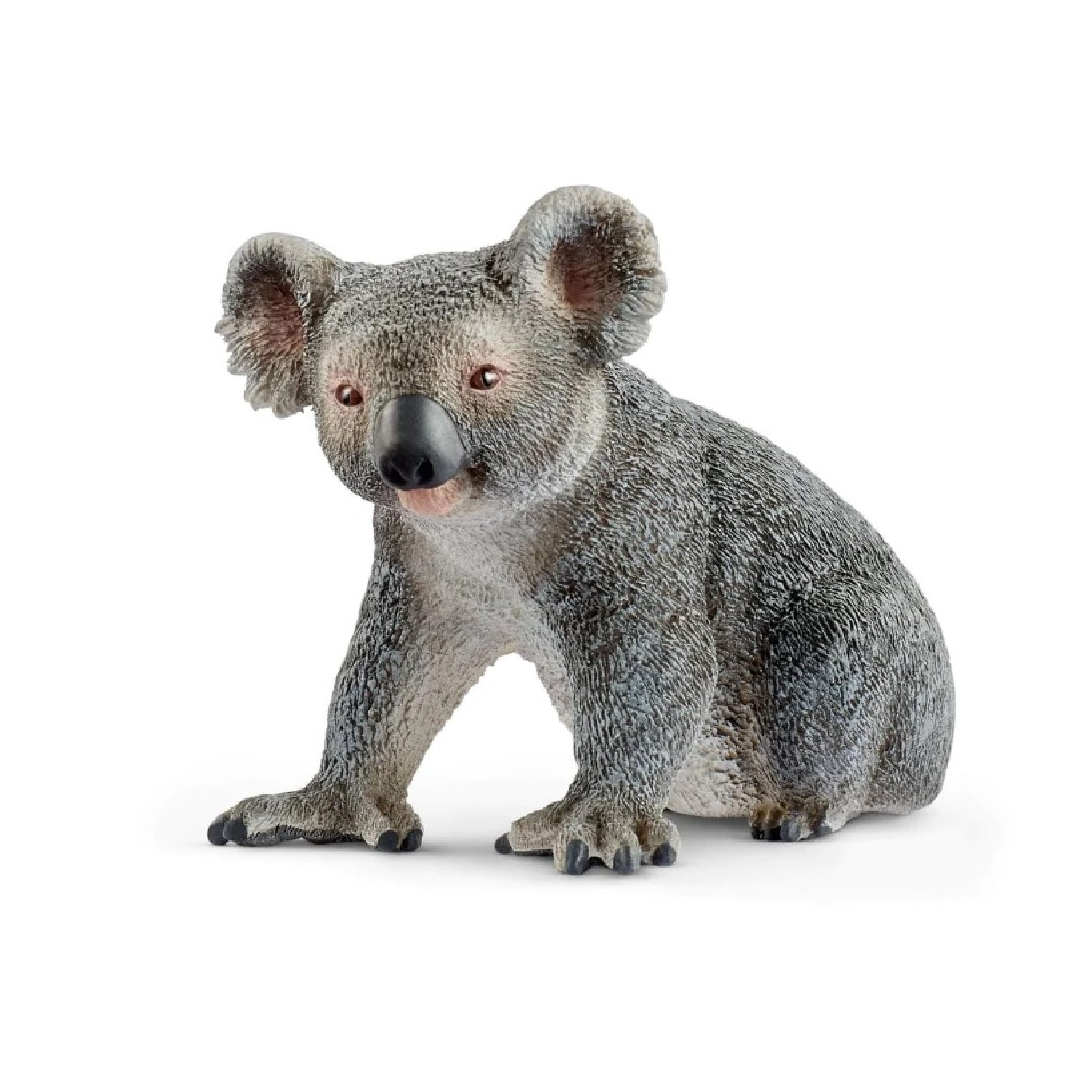 Schleich - Koala - 14815
