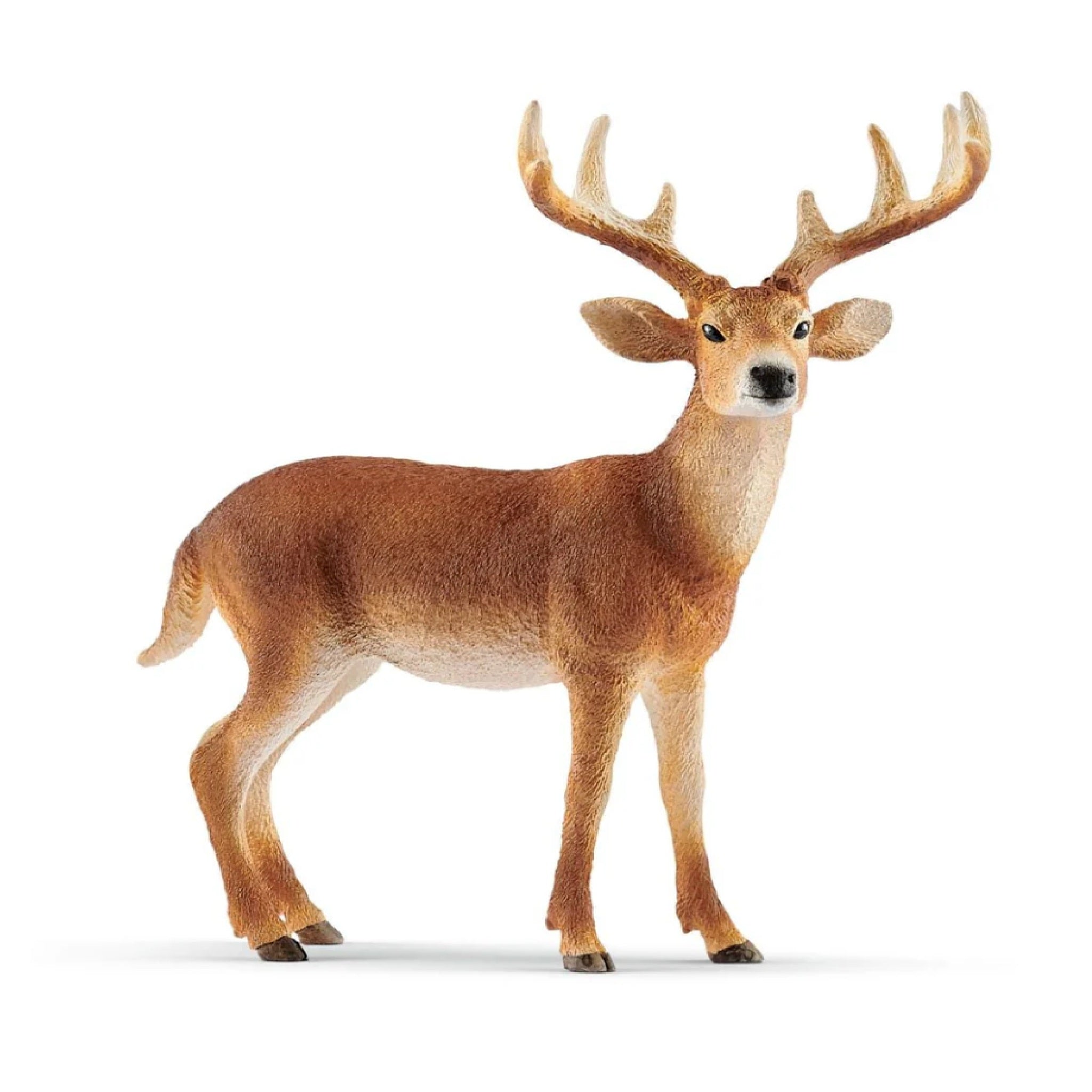 Schleich - White-tailed Buck - 14818