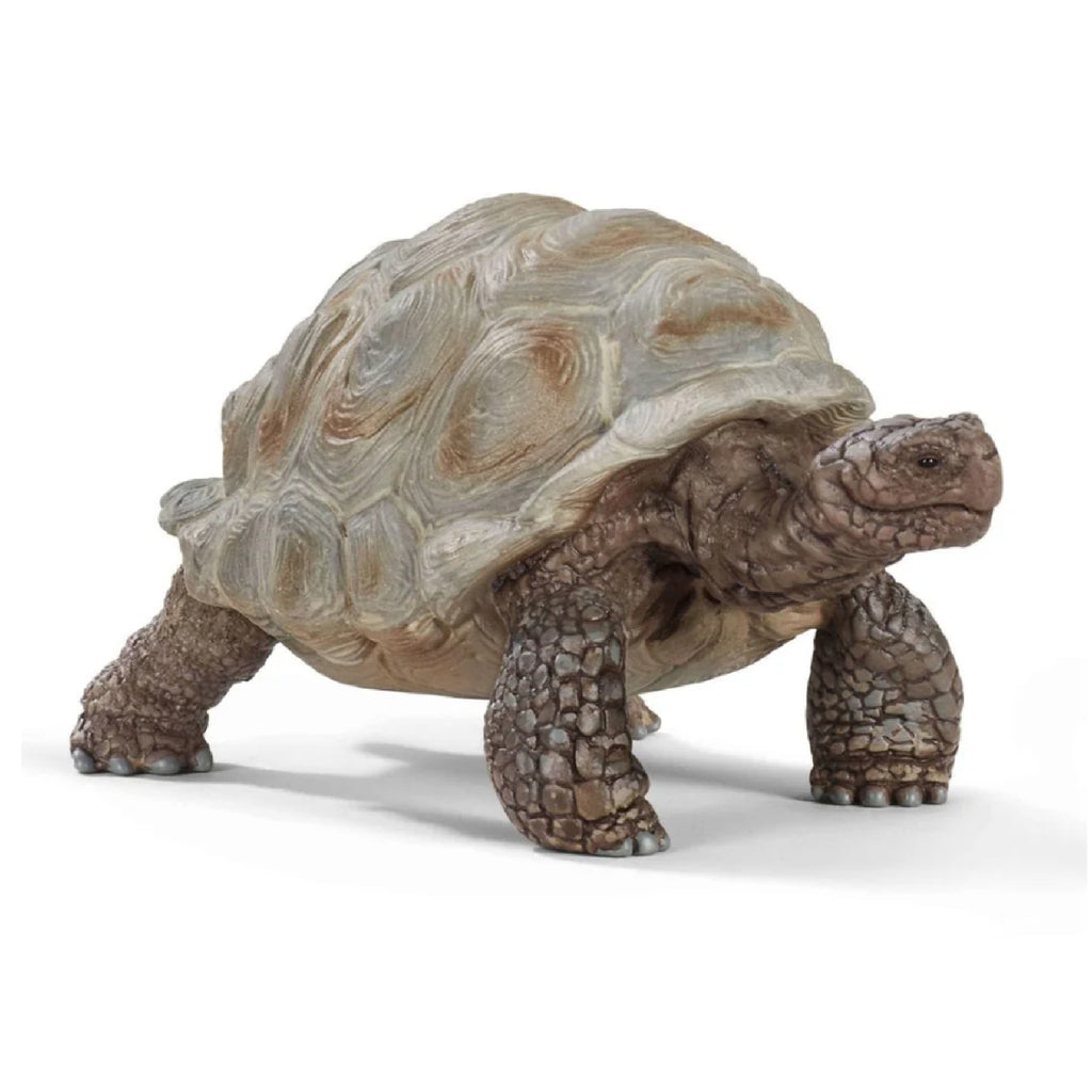 Schleich - Giant Tortoise - 14824