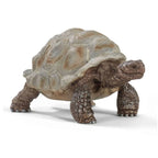Schleich - Giant Tortoise - 14824