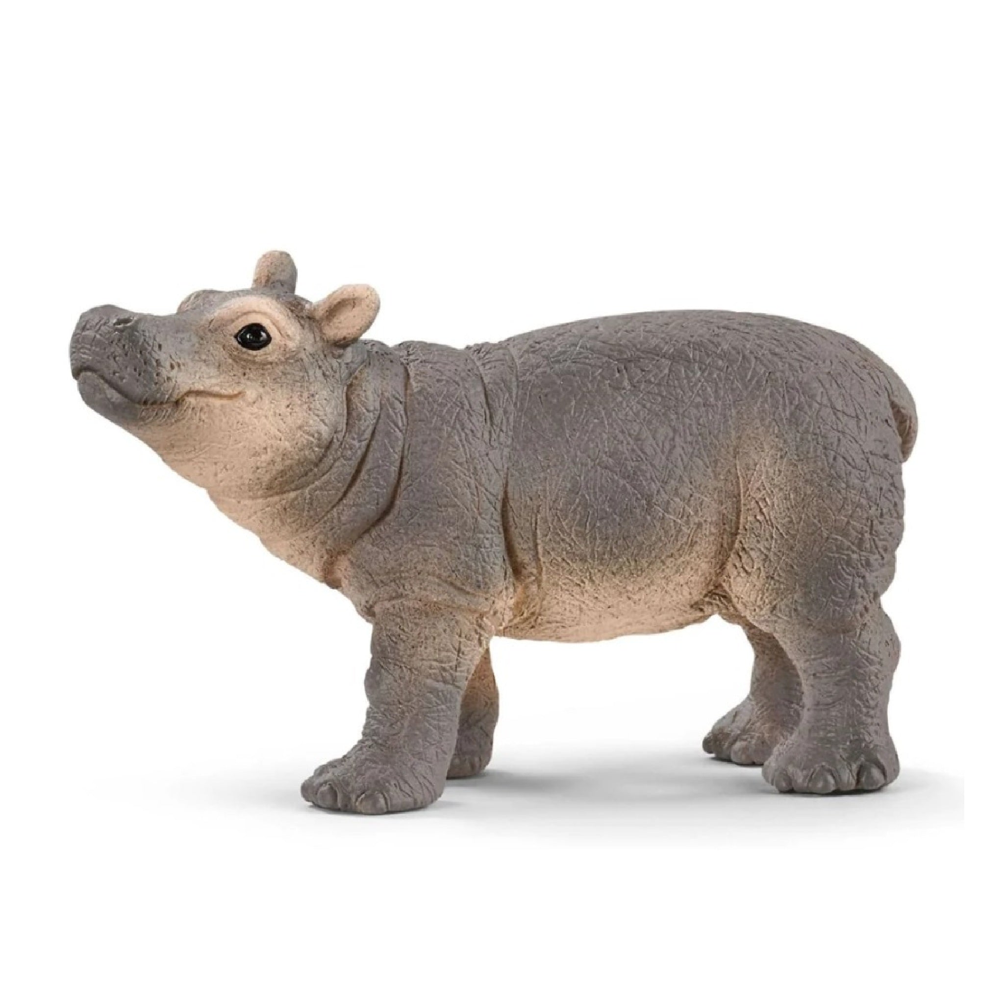 Schleich - Baby Hippopotamus - 14831