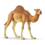 Schleich - Dromedary - 14832